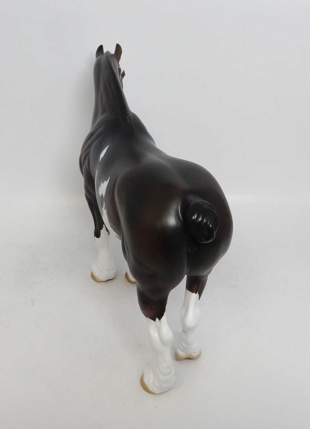 SABBY-LE-? PRE-ORDER SABINO HEAVY DRAFT MARE 11/16/18