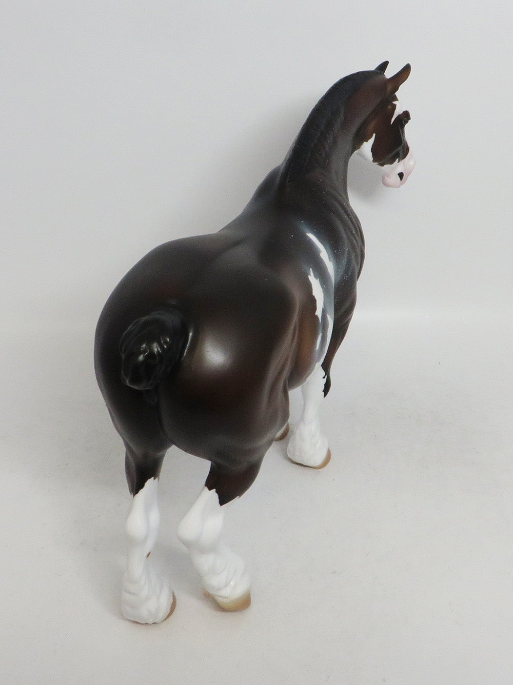 SABBY-LE-? PRE-ORDER SABINO HEAVY DRAFT MARE 11/16/18