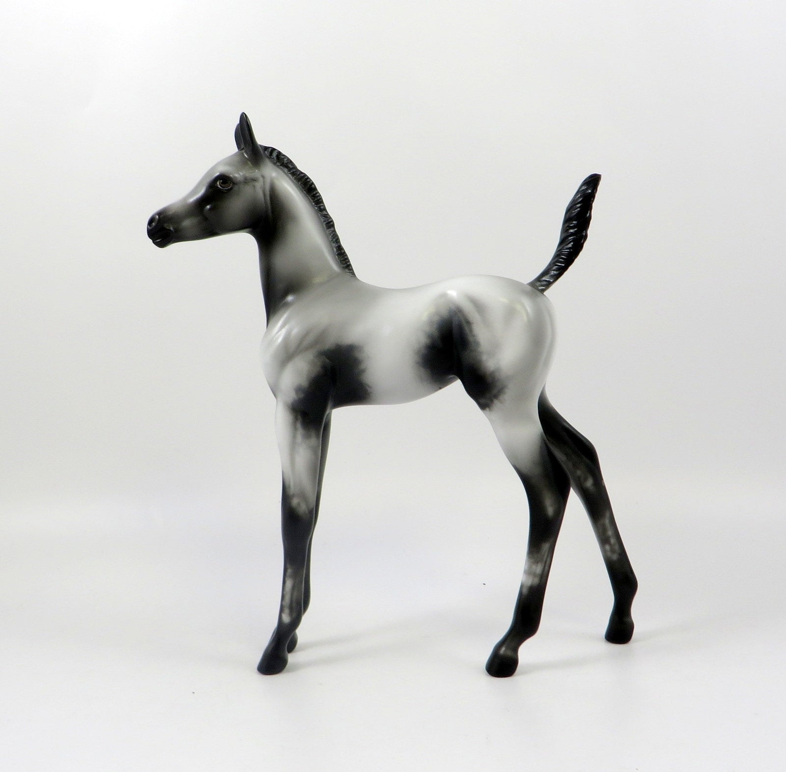DREAM OF MINE-OOAK GREY APPALOOSA ARABIAN FOAL MODEL HORSE 7/25/19
