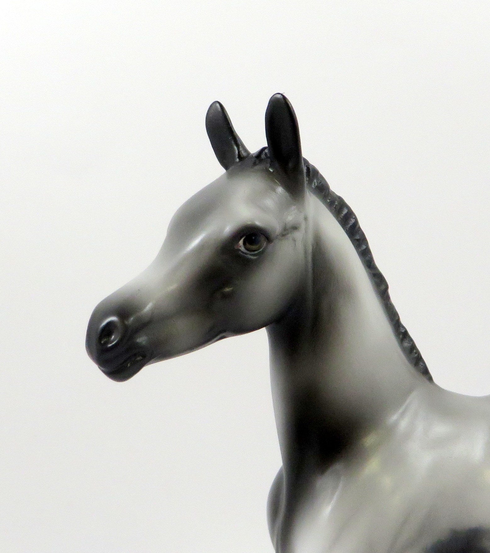 DREAM OF MINE-OOAK GREY APPALOOSA ARABIAN FOAL MODEL HORSE 7/25/19