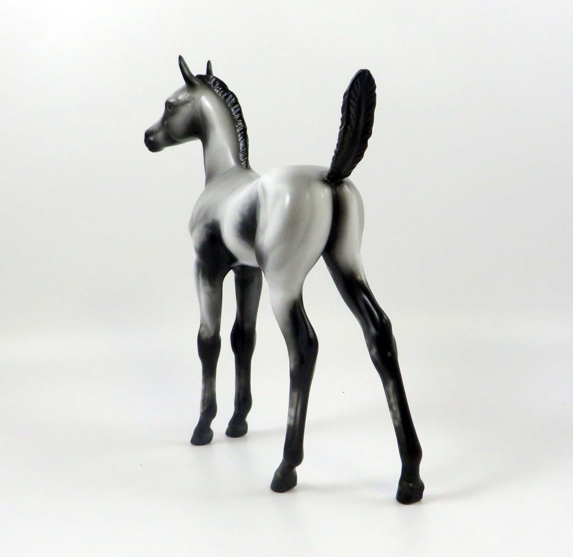 DREAM OF MINE-OOAK GREY APPALOOSA ARABIAN FOAL MODEL HORSE 7/25/19