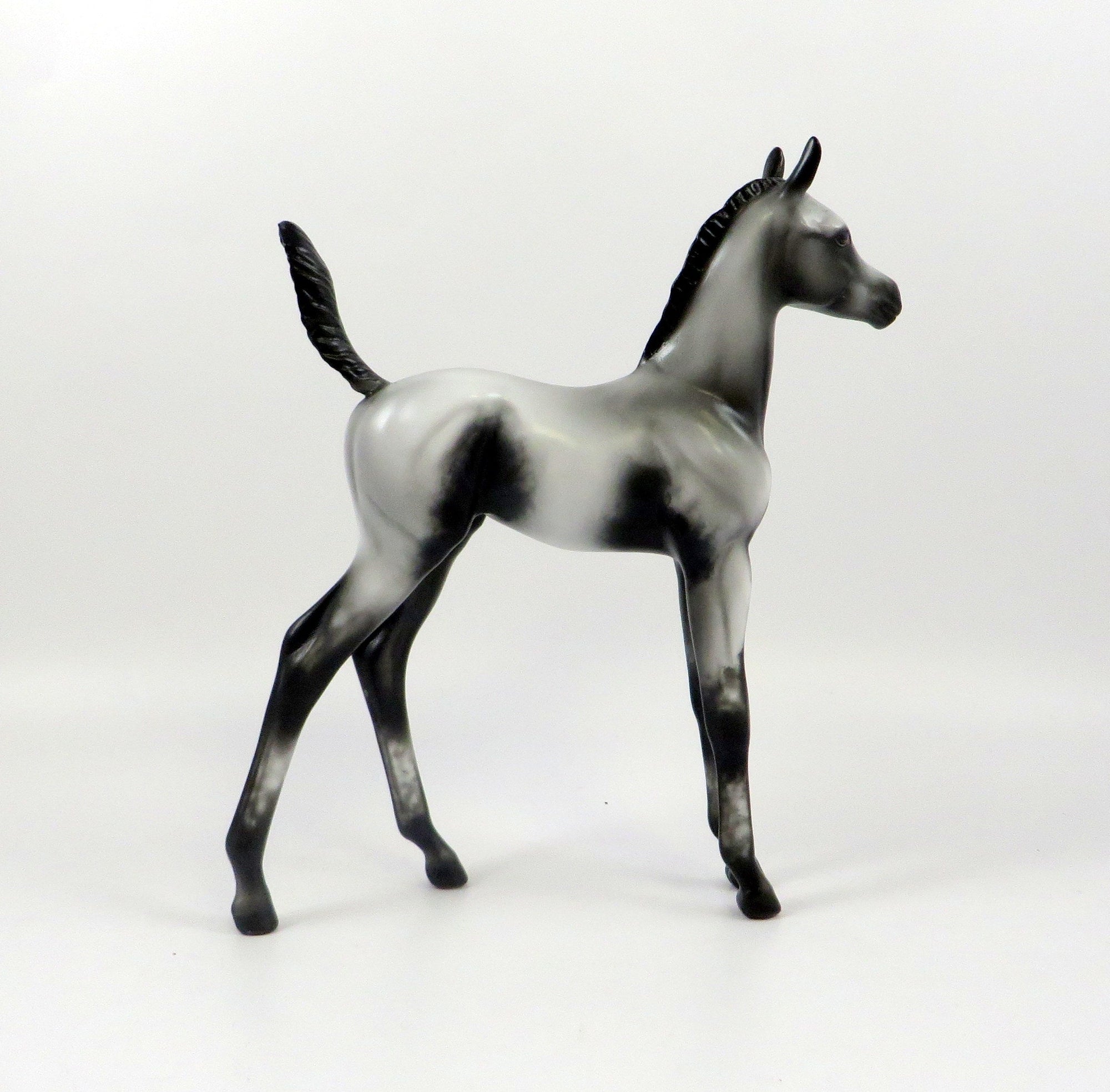 DREAM OF MINE-OOAK GREY APPALOOSA ARABIAN FOAL MODEL HORSE 7/25/19
