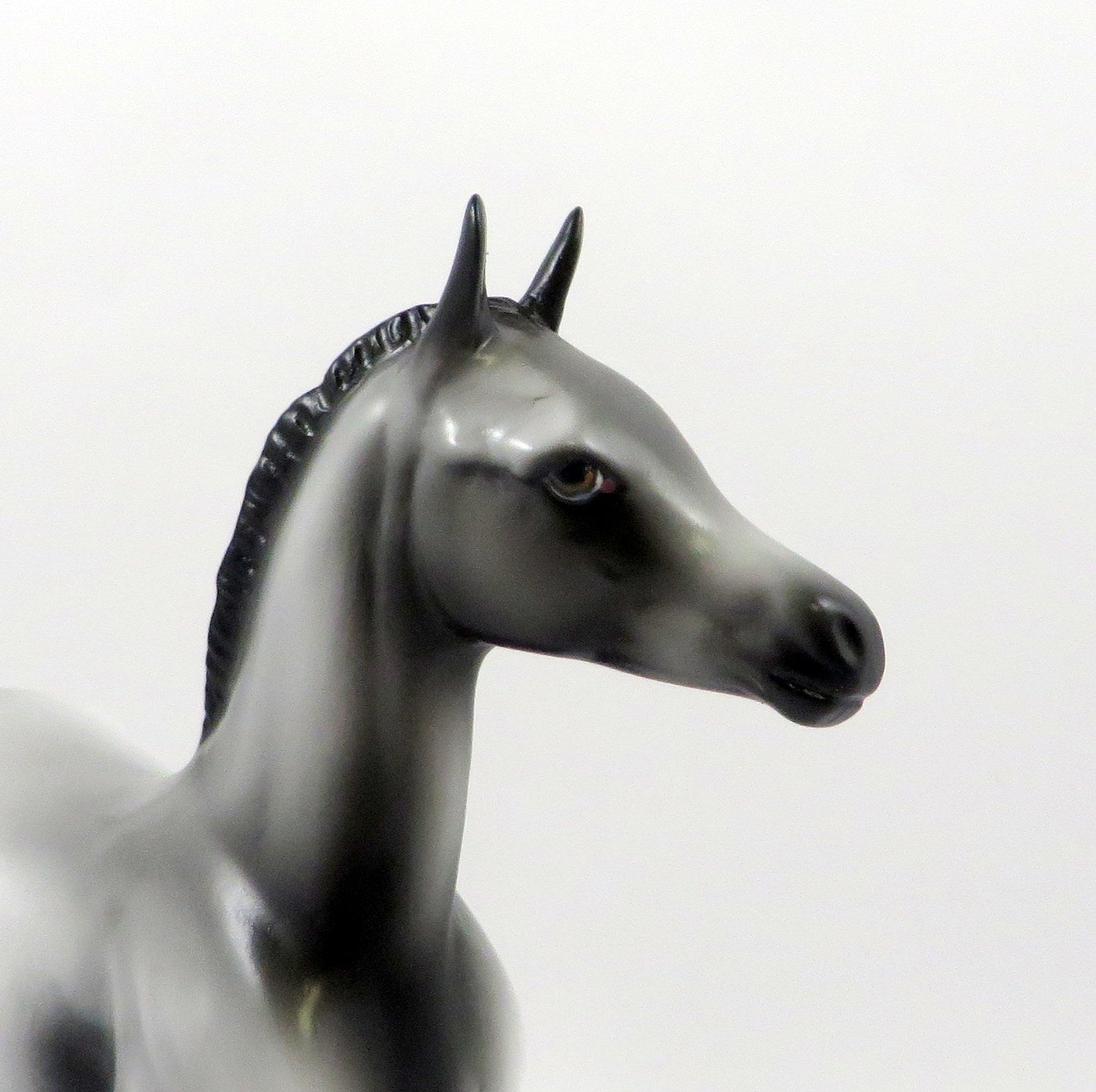 DREAM OF MINE-OOAK GREY APPALOOSA ARABIAN FOAL MODEL HORSE 7/25/19