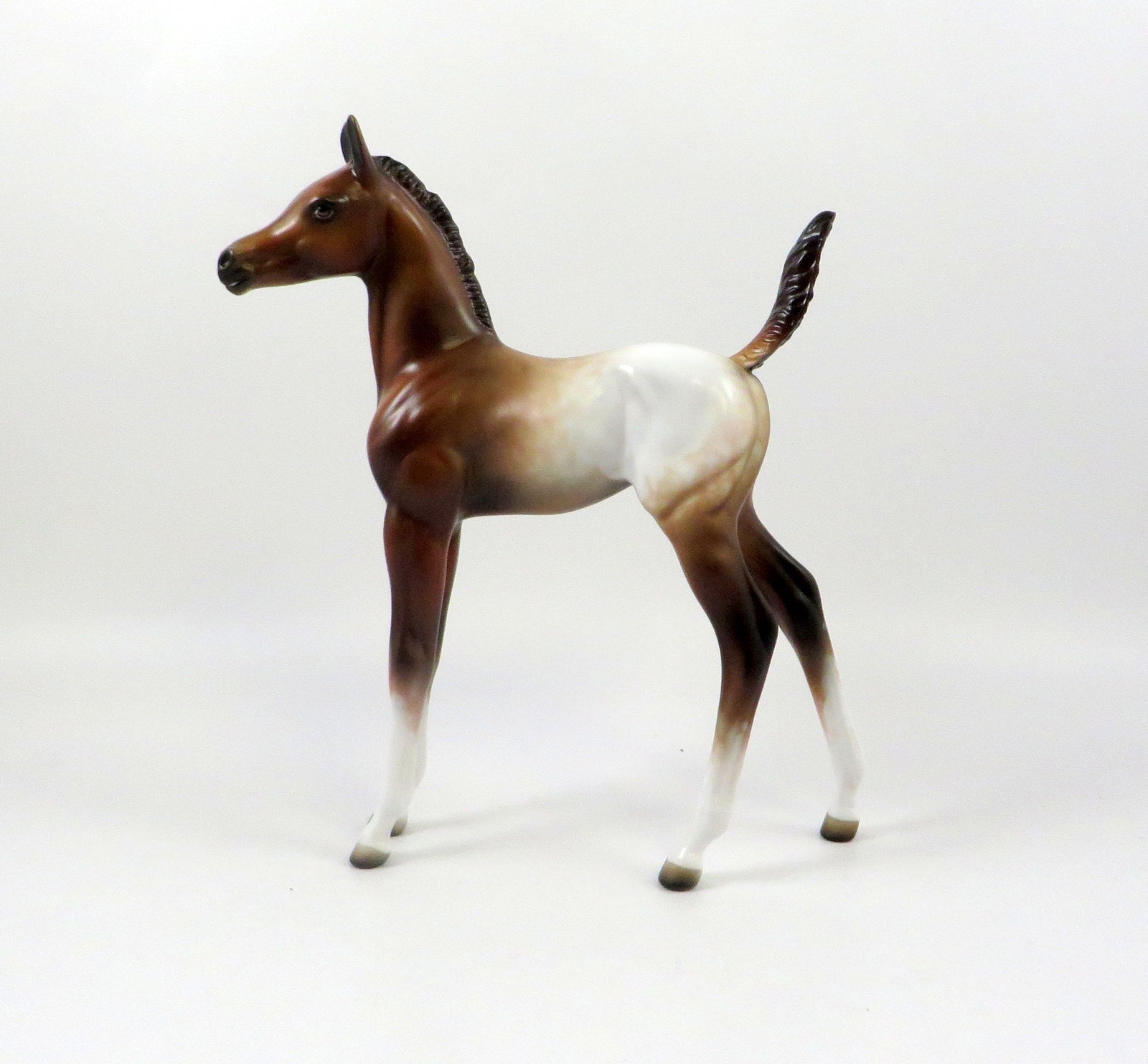 DAYTRADER-OOAK CHESTNUT APPALOOSA ARABIAN FOAL MODEL HORSE 7/25/19
