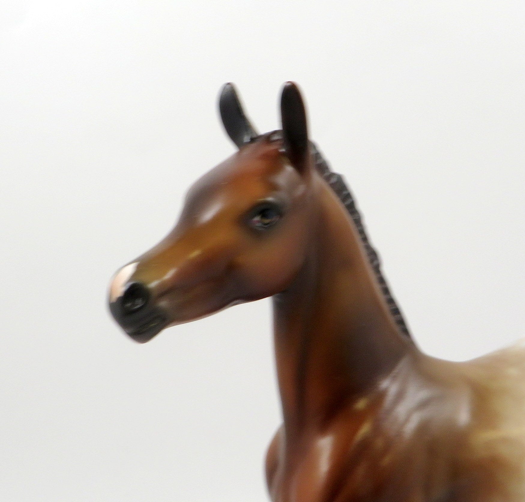 DAYTRADER-OOAK CHESTNUT APPALOOSA ARABIAN FOAL MODEL HORSE 7/25/19