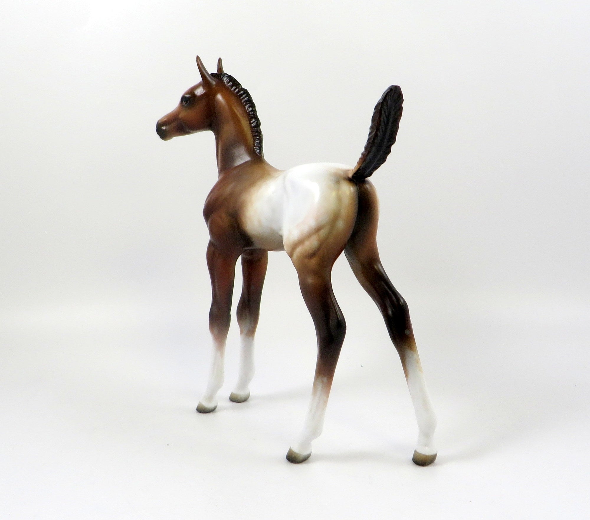 DAYTRADER-OOAK CHESTNUT APPALOOSA ARABIAN FOAL MODEL HORSE 7/25/19