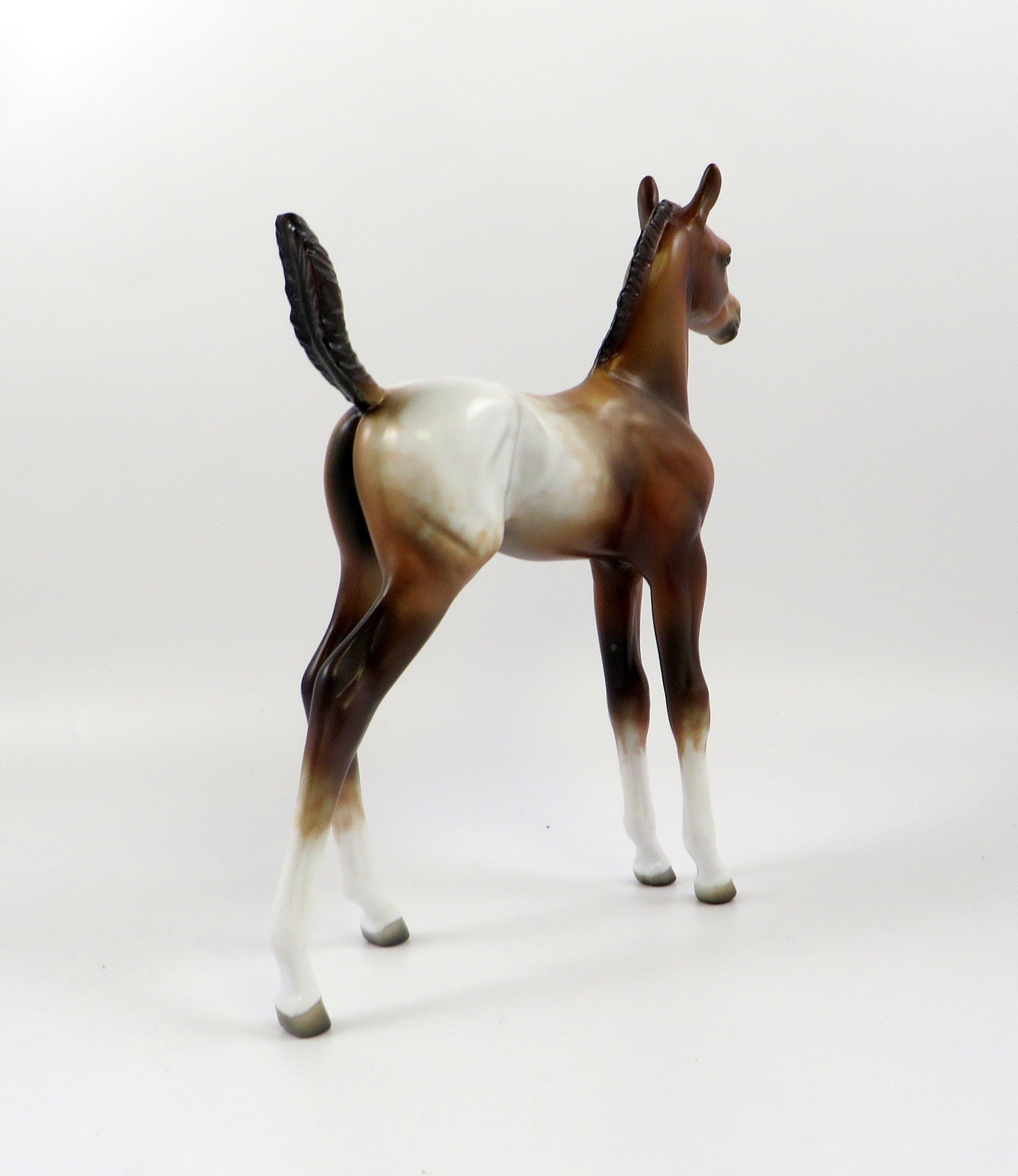 DAYTRADER-OOAK CHESTNUT APPALOOSA ARABIAN FOAL MODEL HORSE 7/25/19