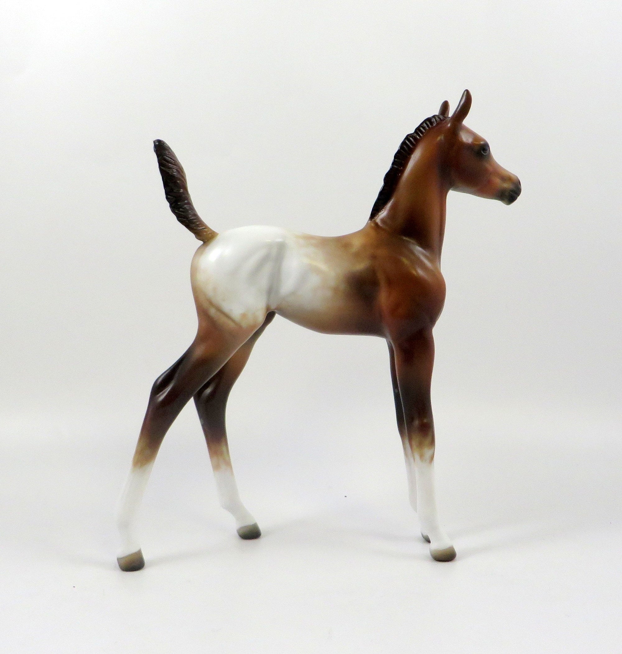 DAYTRADER-OOAK CHESTNUT APPALOOSA ARABIAN FOAL MODEL HORSE 7/25/19