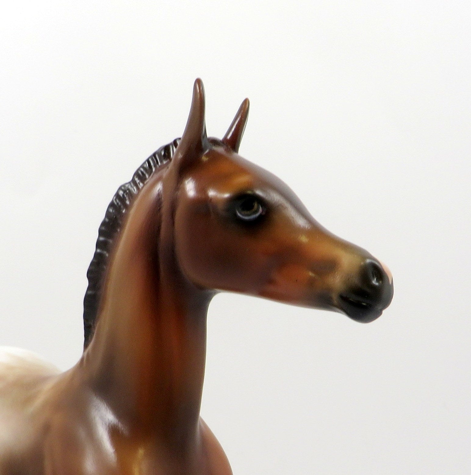 DAYTRADER-OOAK CHESTNUT APPALOOSA ARABIAN FOAL MODEL HORSE 7/25/19