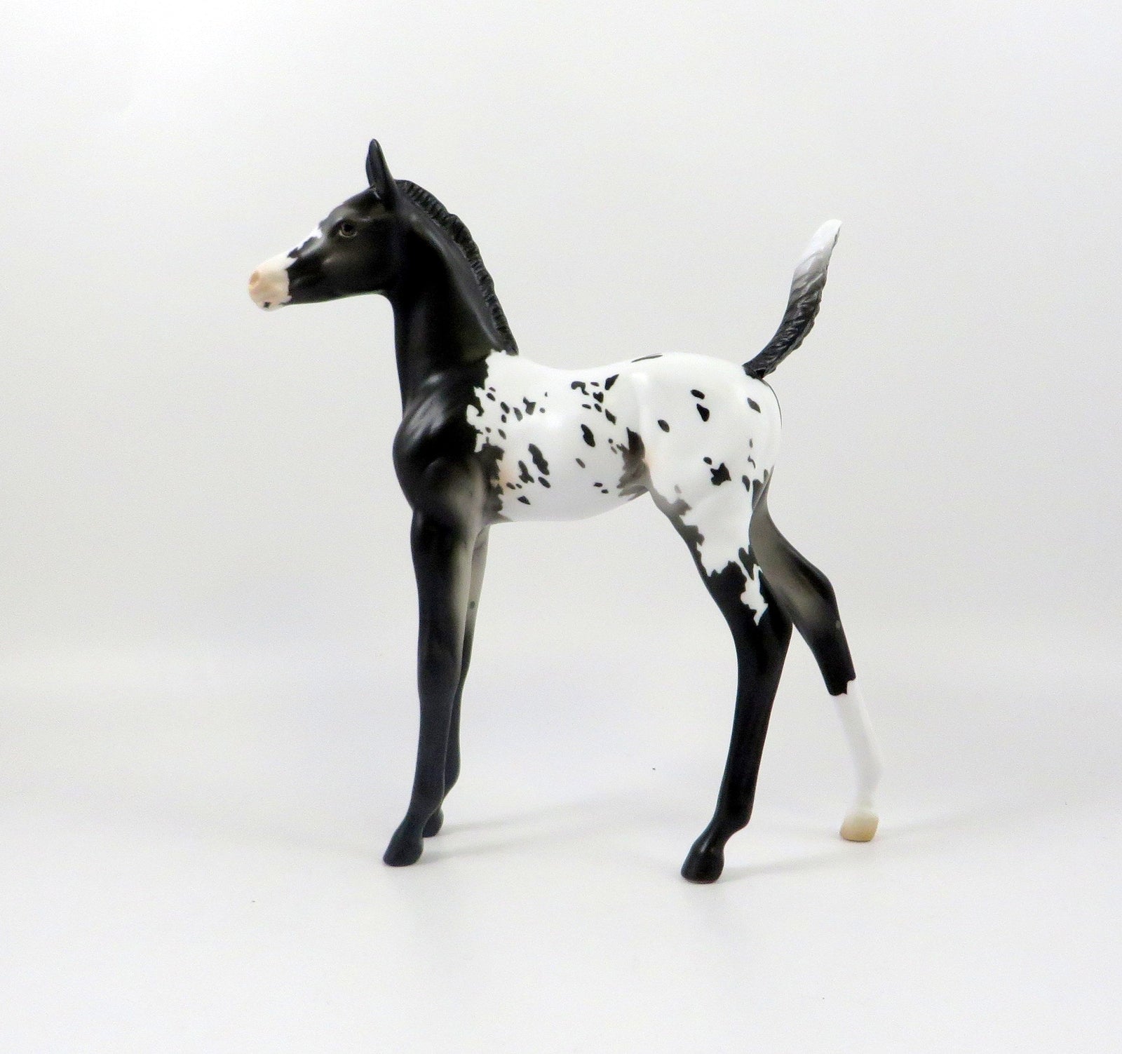 WAYLAND BLUES-OOAK BLACK APPALOOSA  ARABIAN FOAL MODEL HORSE 7/25/19
