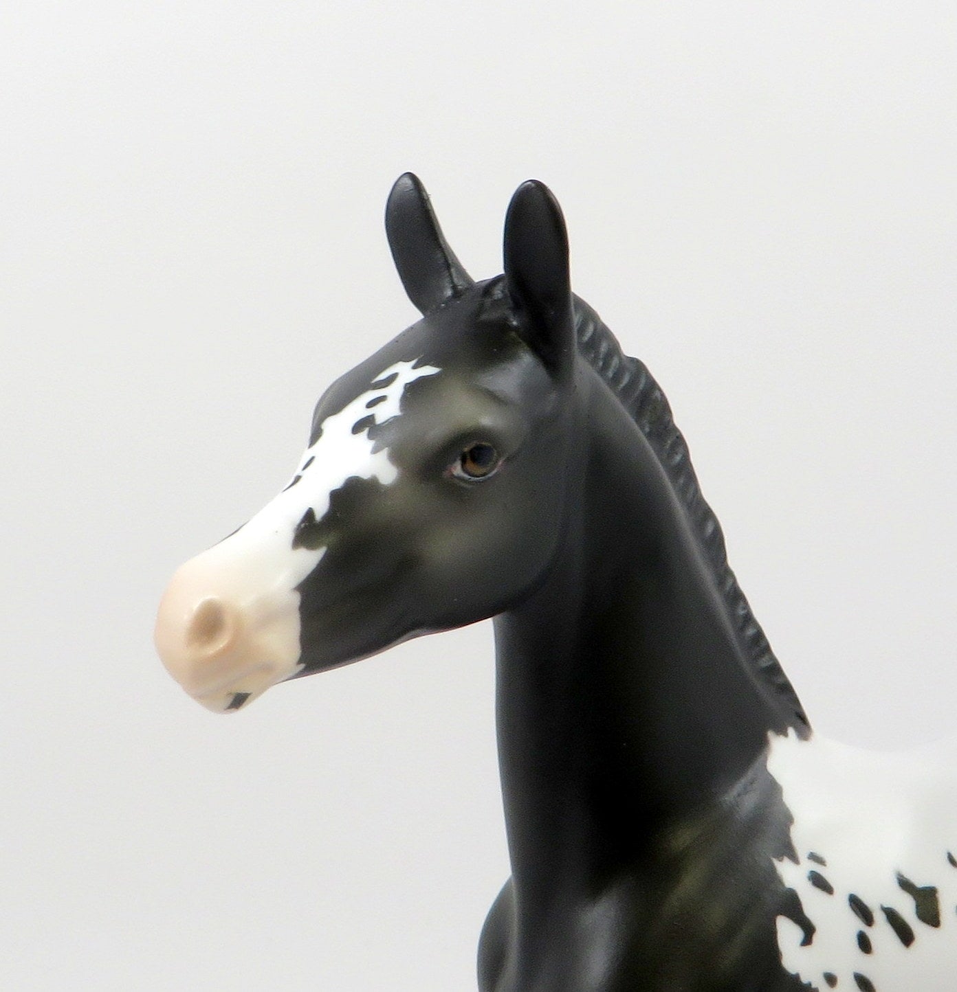 WAYLAND BLUES-OOAK BLACK APPALOOSA  ARABIAN FOAL MODEL HORSE 7/25/19