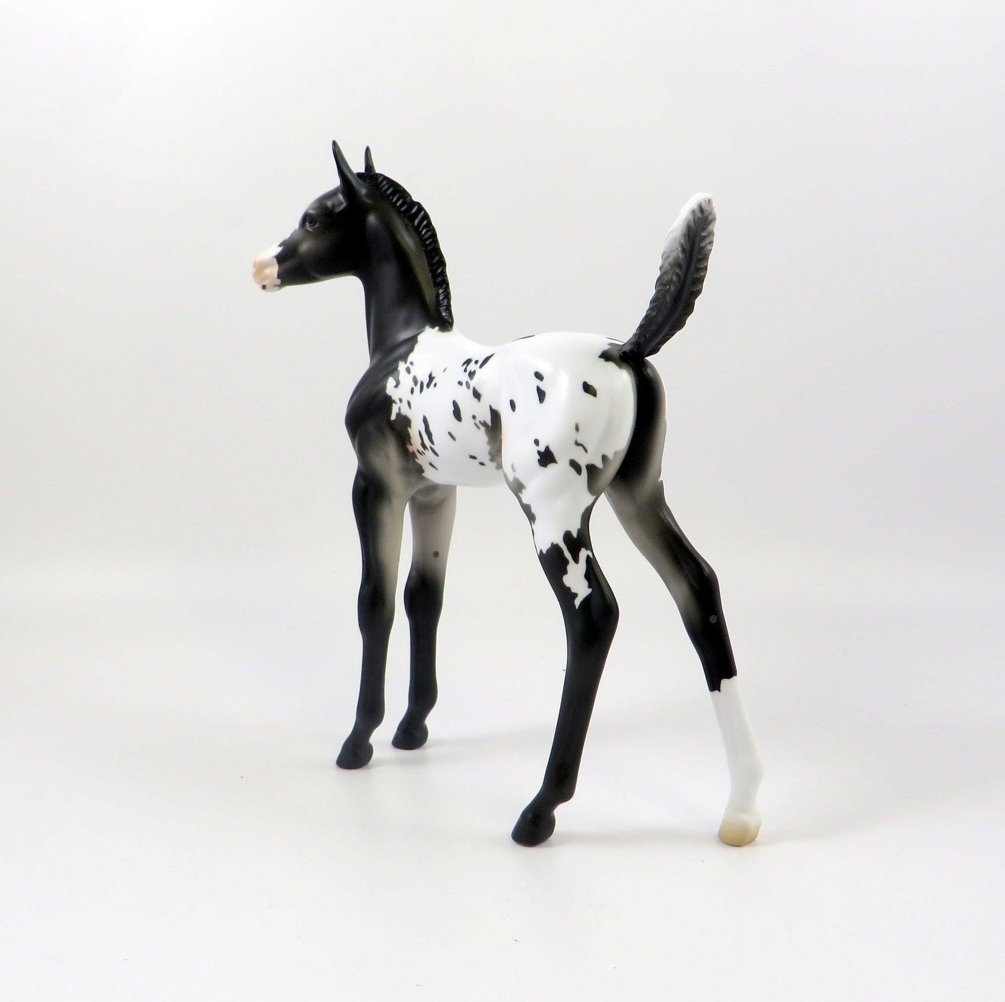 WAYLAND BLUES-OOAK BLACK APPALOOSA  ARABIAN FOAL MODEL HORSE 7/25/19