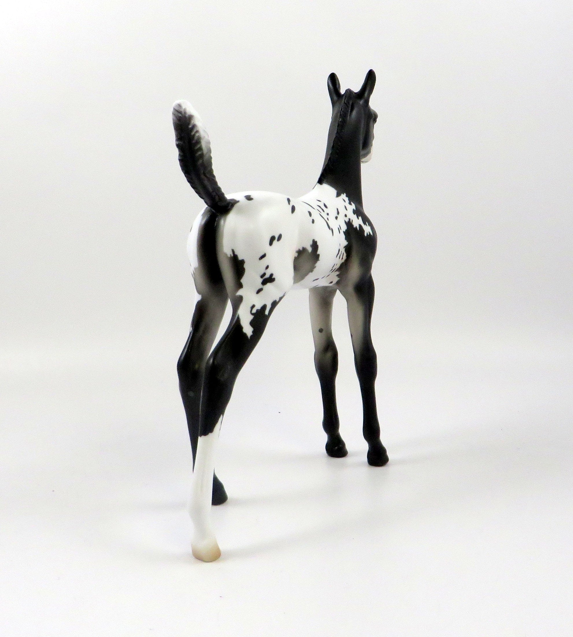 WAYLAND BLUES-OOAK BLACK APPALOOSA  ARABIAN FOAL MODEL HORSE 7/25/19