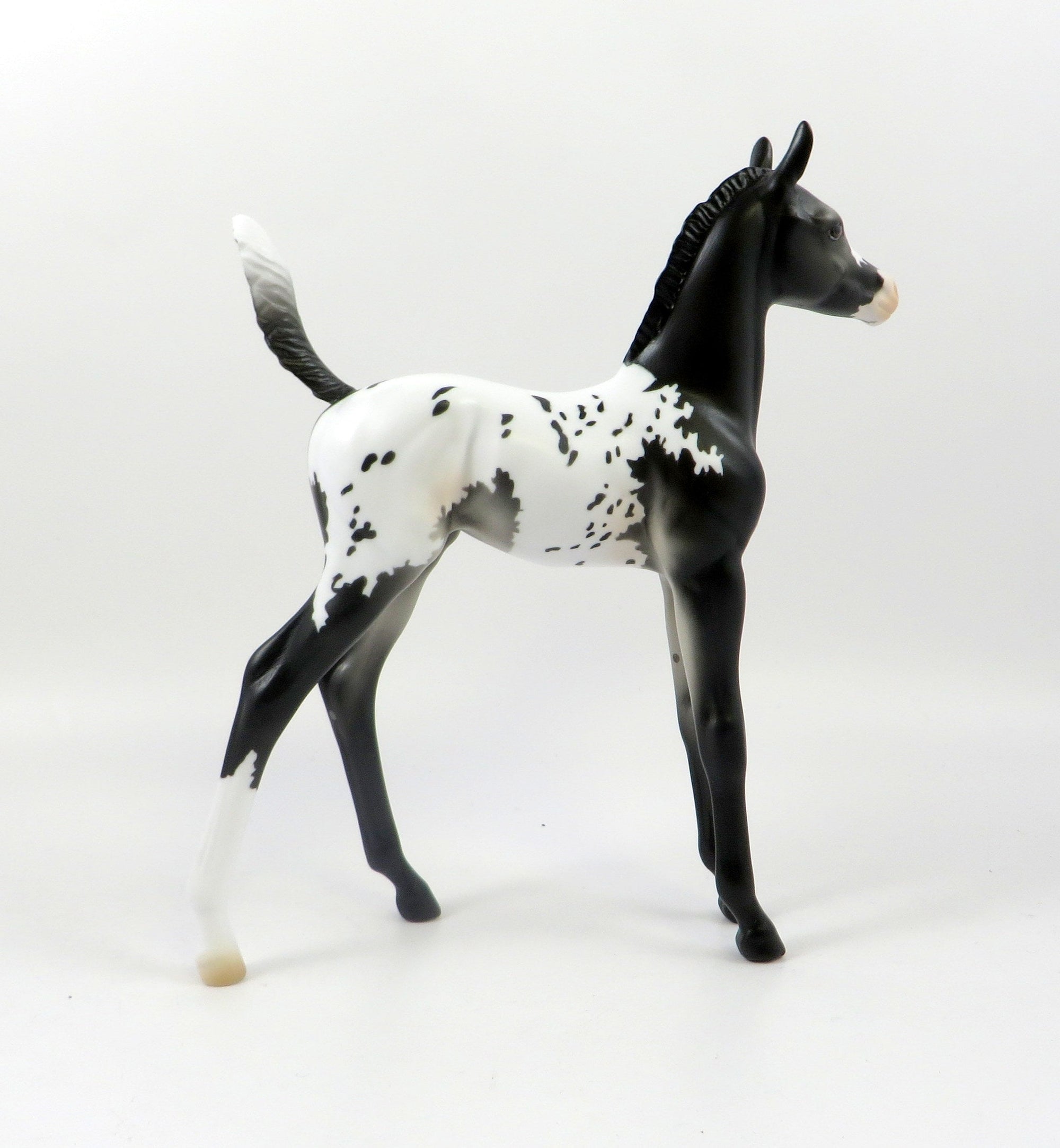 WAYLAND BLUES-OOAK BLACK APPALOOSA  ARABIAN FOAL MODEL HORSE 7/25/19
