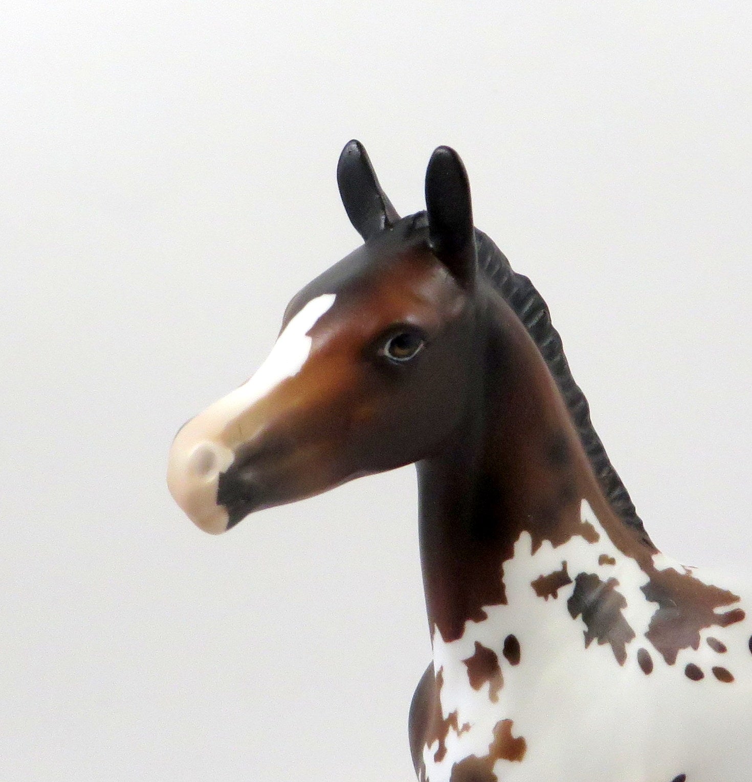 WIND MAKER - OOAK BAY APPALOOSA ARABIAN FOAL MODEL HORSE 7/25/19