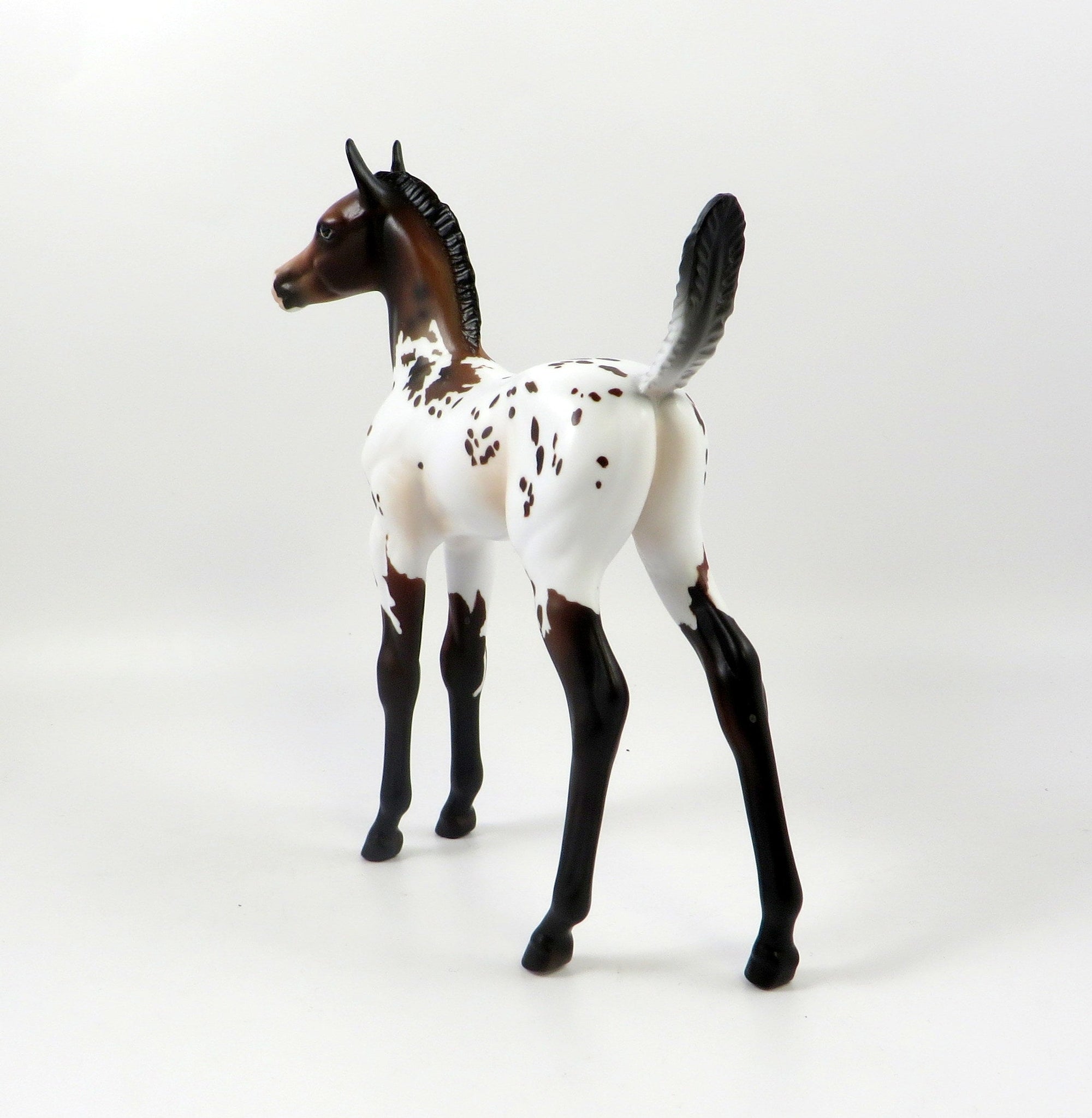WIND MAKER - OOAK BAY APPALOOSA ARABIAN FOAL MODEL HORSE 7/25/19