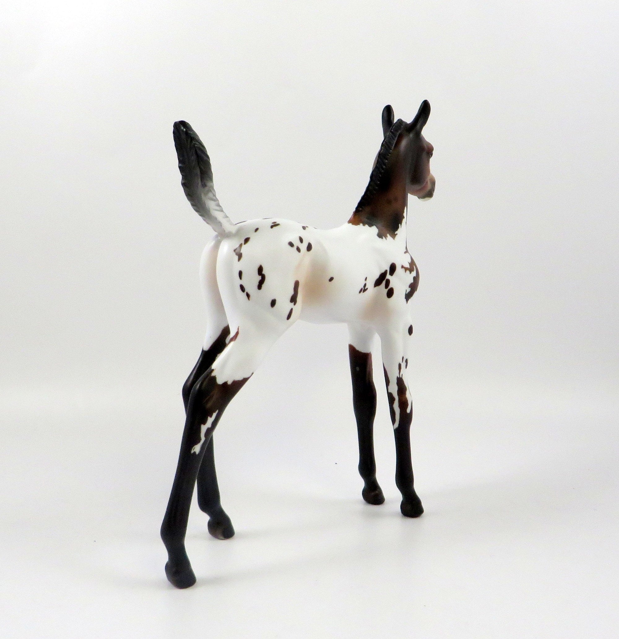 WIND MAKER - OOAK BAY APPALOOSA ARABIAN FOAL MODEL HORSE 7/25/19