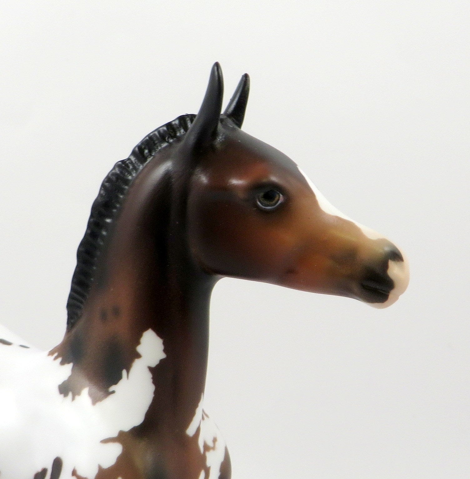 WIND MAKER - OOAK BAY APPALOOSA ARABIAN FOAL MODEL HORSE 7/25/19