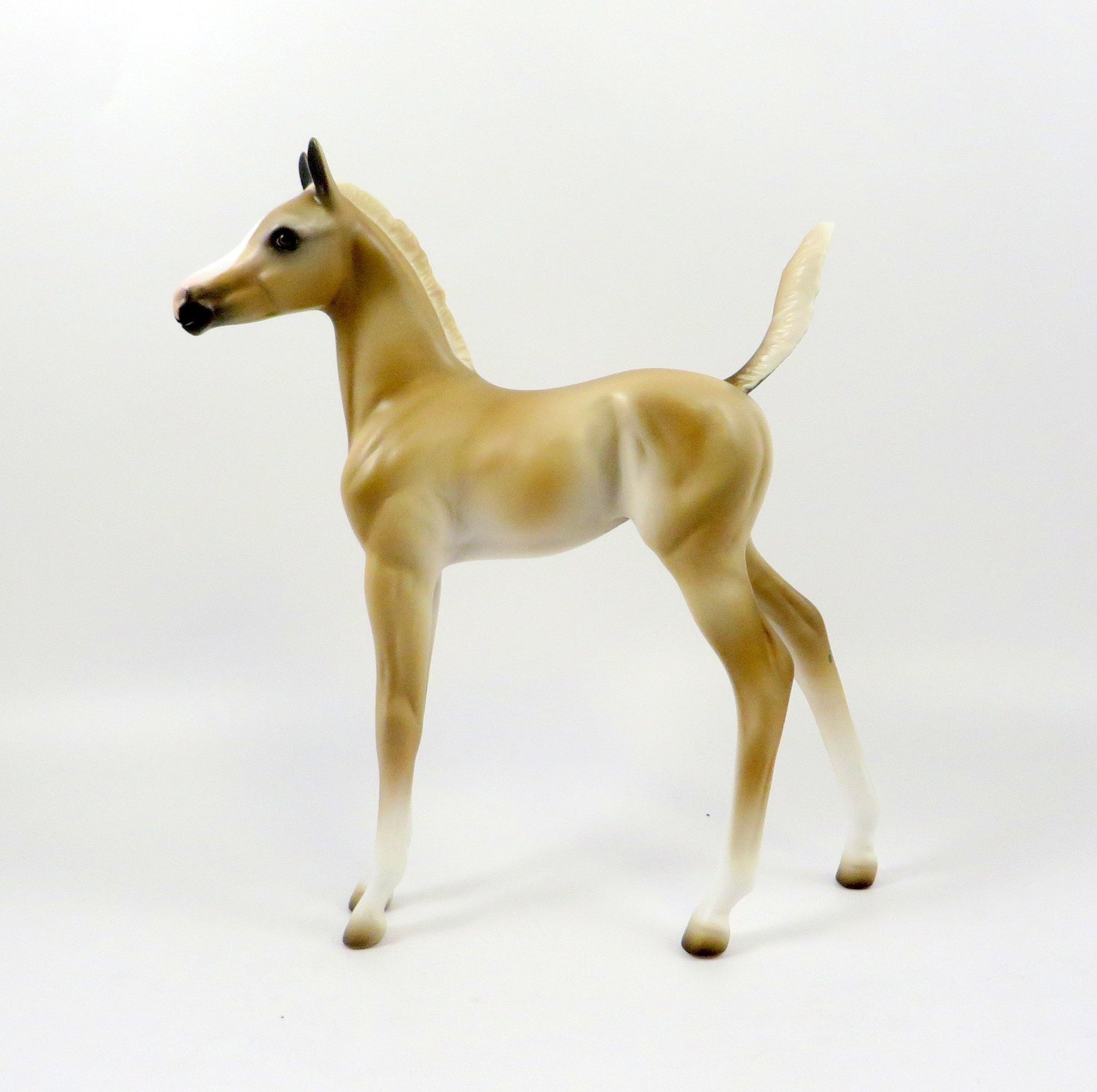 WOTS UP DOC-OOAK PALOMINO ARABIAN FOAL MODEL HORSE 7/25/19