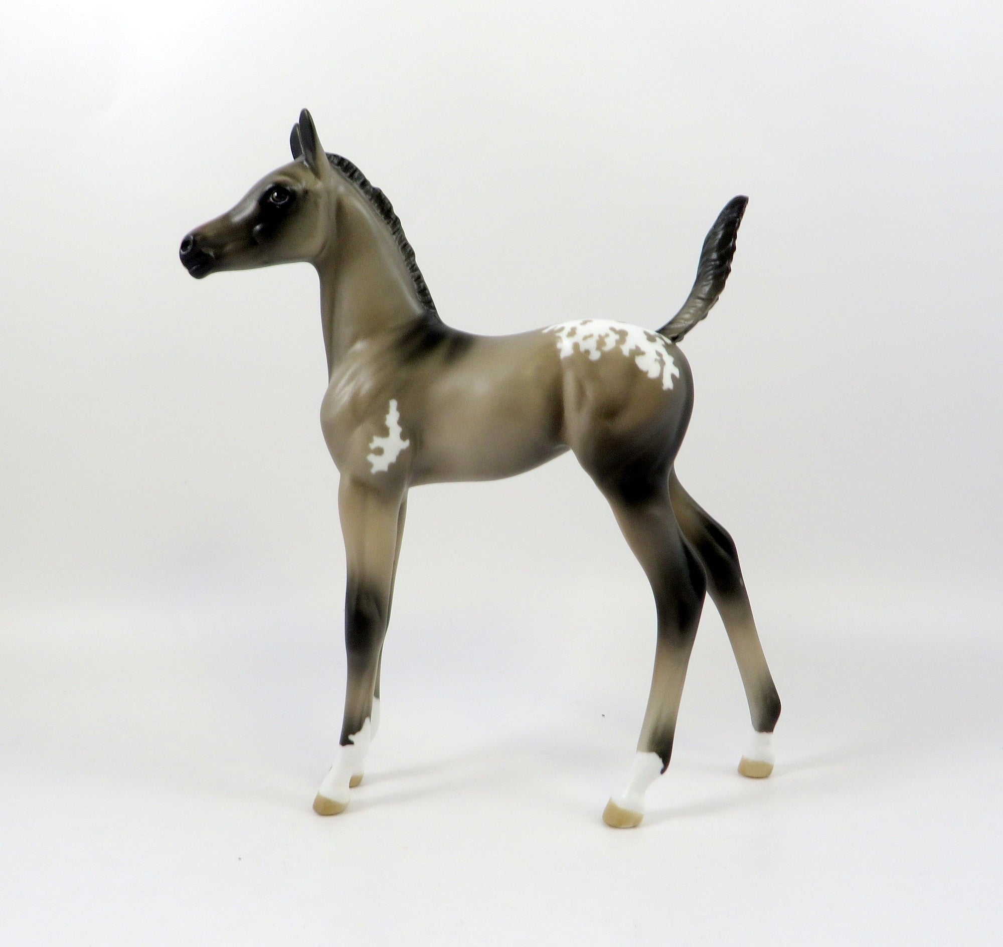 SEVANA-OOAK GRULLA  APPALOOSA ARABIAN FOAL MODEL HORSE 7/25/19