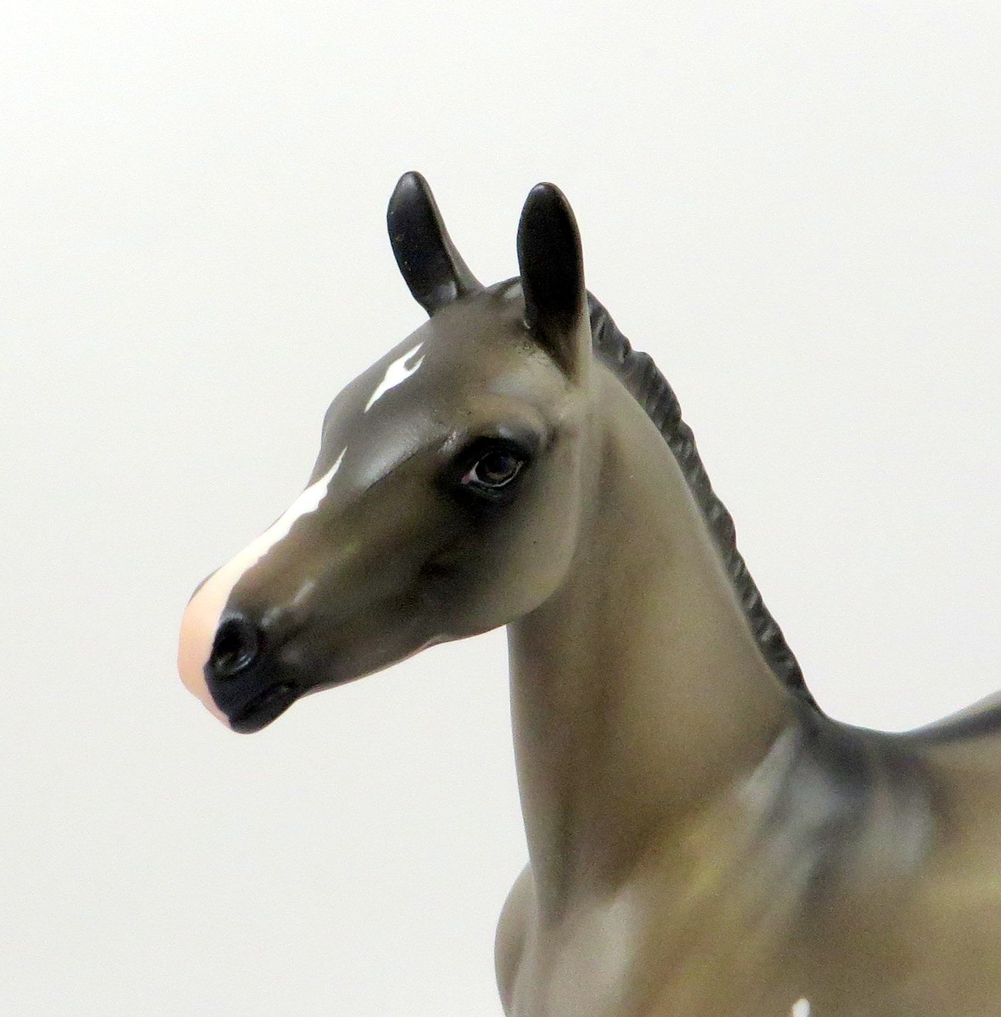 SEVANA-OOAK GRULLA  APPALOOSA ARABIAN FOAL MODEL HORSE 7/25/19