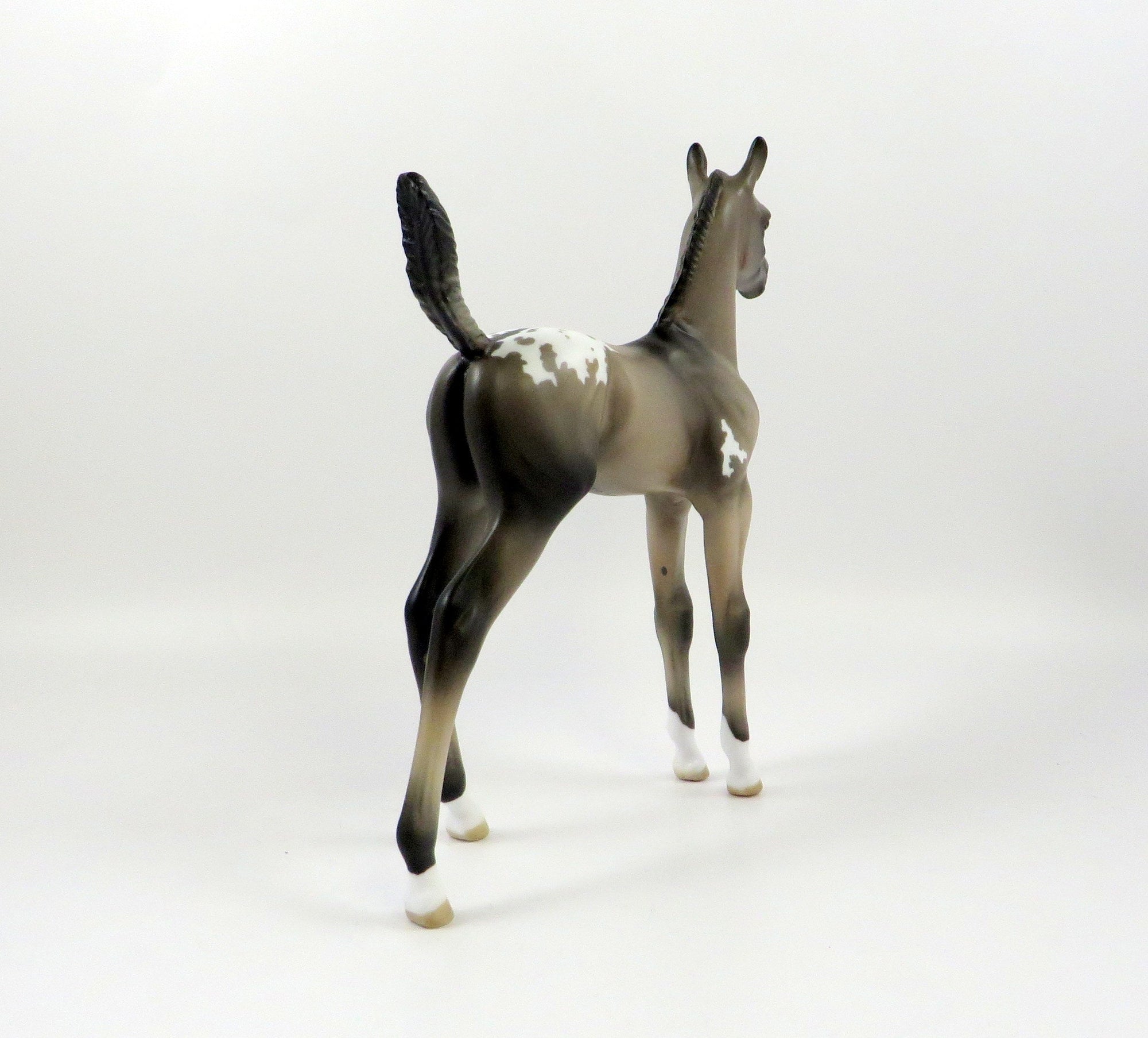 SEVANA-OOAK GRULLA  APPALOOSA ARABIAN FOAL MODEL HORSE 7/25/19