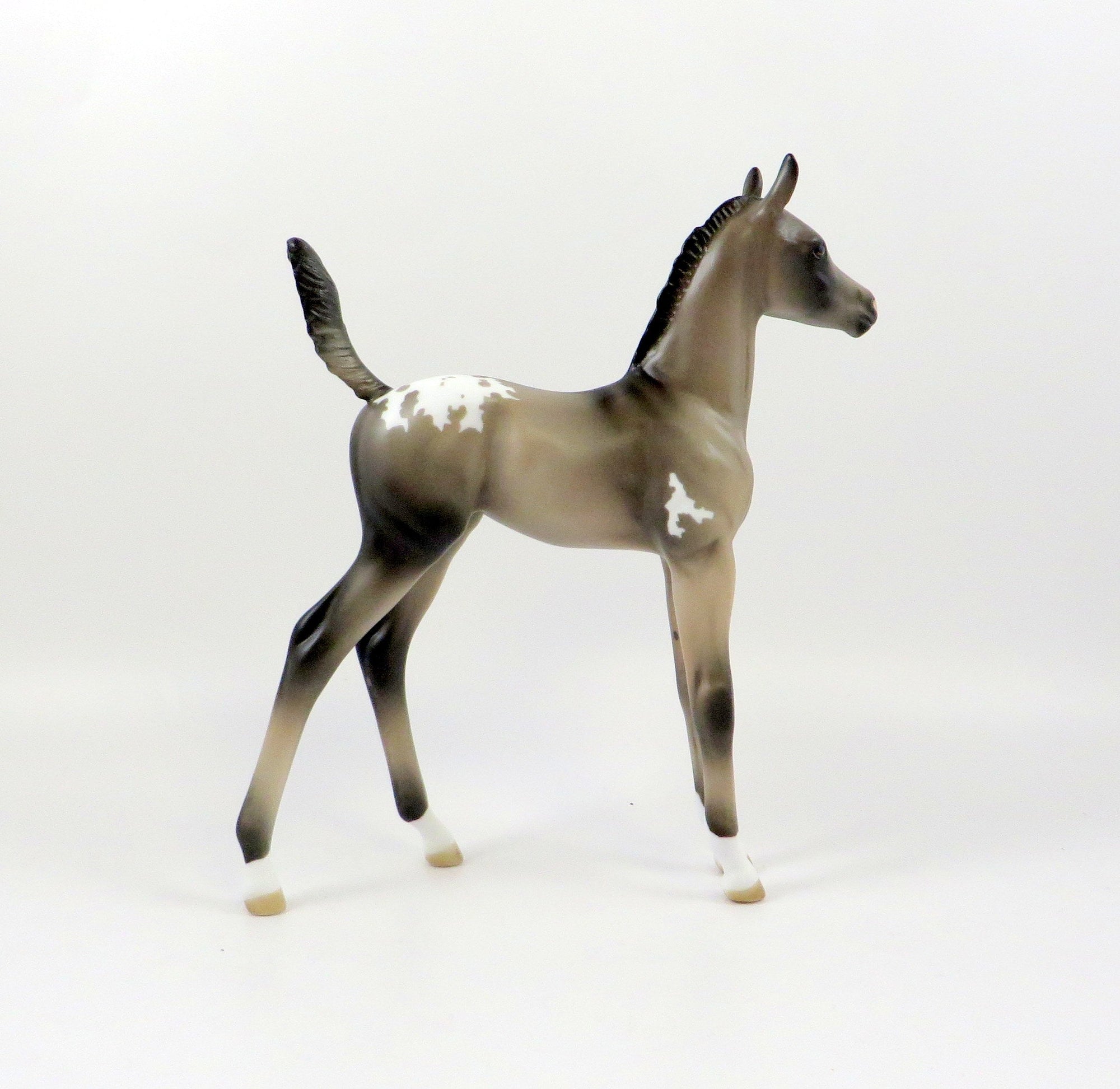 SEVANA-OOAK GRULLA  APPALOOSA ARABIAN FOAL MODEL HORSE 7/25/19