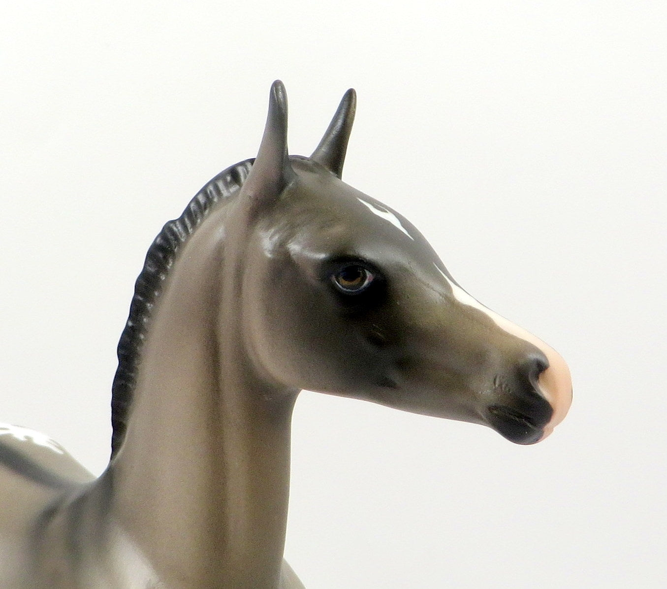 SEVANA-OOAK GRULLA  APPALOOSA ARABIAN FOAL MODEL HORSE 7/25/19