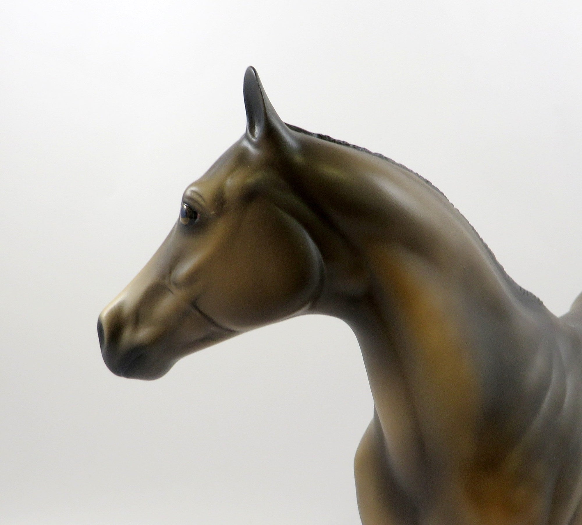 GALLENA-OOAK SOOTY DAPPLE BUCKSKIN ISH MODEL HORSE 7/25/19