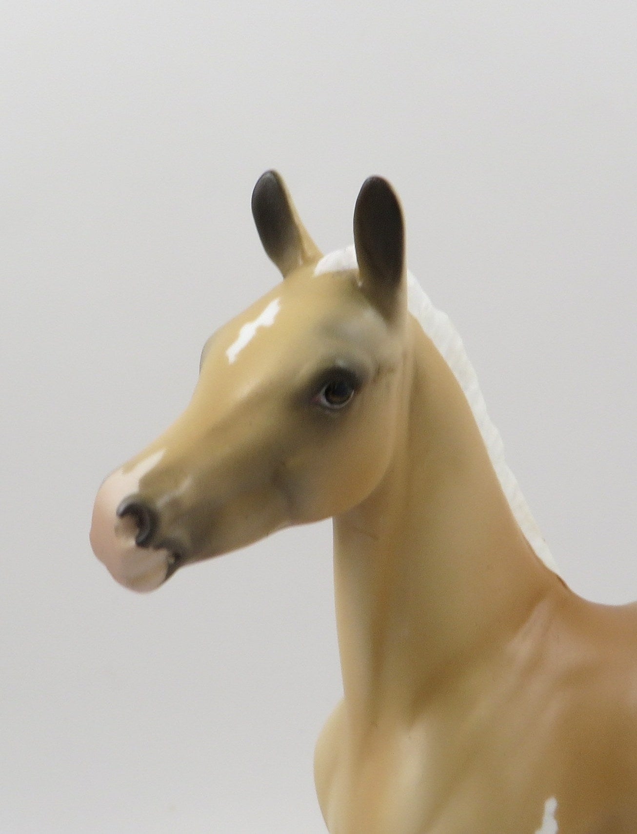 FRESCO-OOAK PALOMINO APPALOOSA ARABIAN FOAL MODEL HORSE 7/25/19