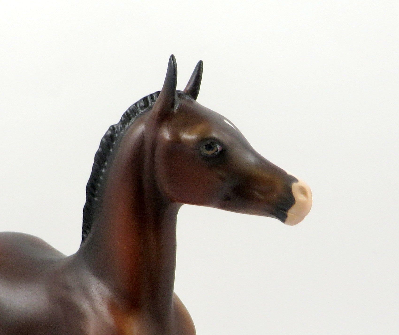 FIRST ROSE-OOAK BAY ARABIAN FOAL MODEL HORSE 7/26/19