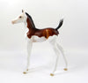 GINO-OOAK BAY SPLASH ARABIAN FOAL MODEL HORSE 7/26/19