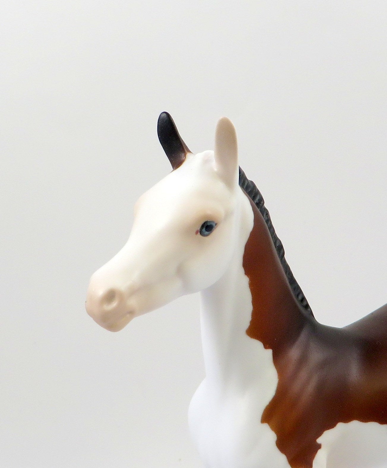 GINO-OOAK BAY SPLASH ARABIAN FOAL MODEL HORSE 7/26/19