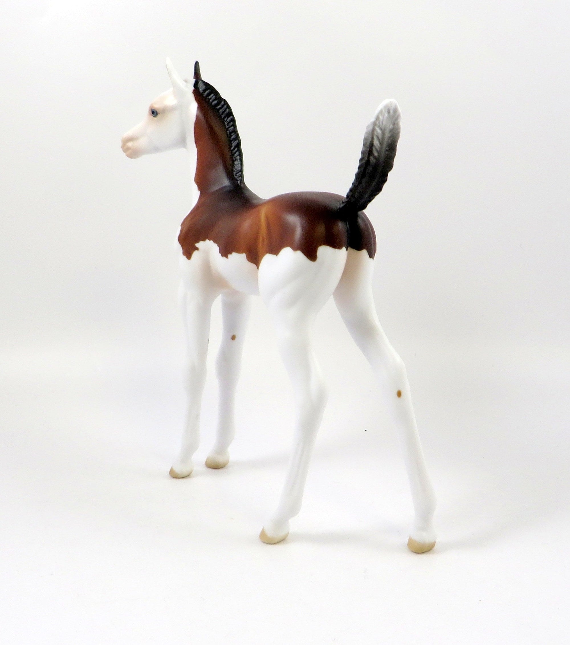 GINO-OOAK BAY SPLASH ARABIAN FOAL MODEL HORSE 7/26/19