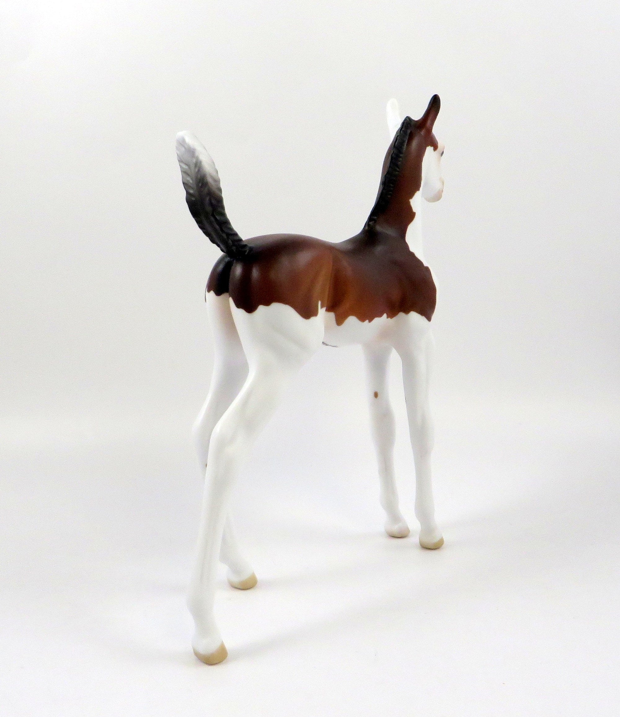 GINO-OOAK BAY SPLASH ARABIAN FOAL MODEL HORSE 7/26/19