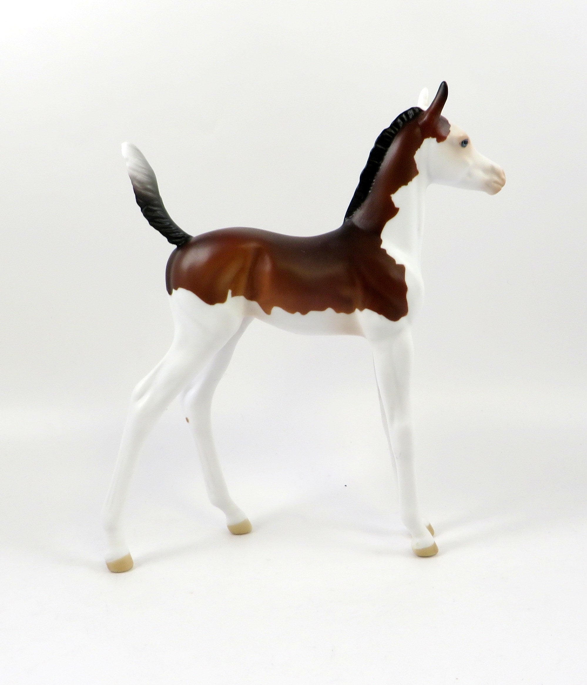 GINO-OOAK BAY SPLASH ARABIAN FOAL MODEL HORSE 7/26/19