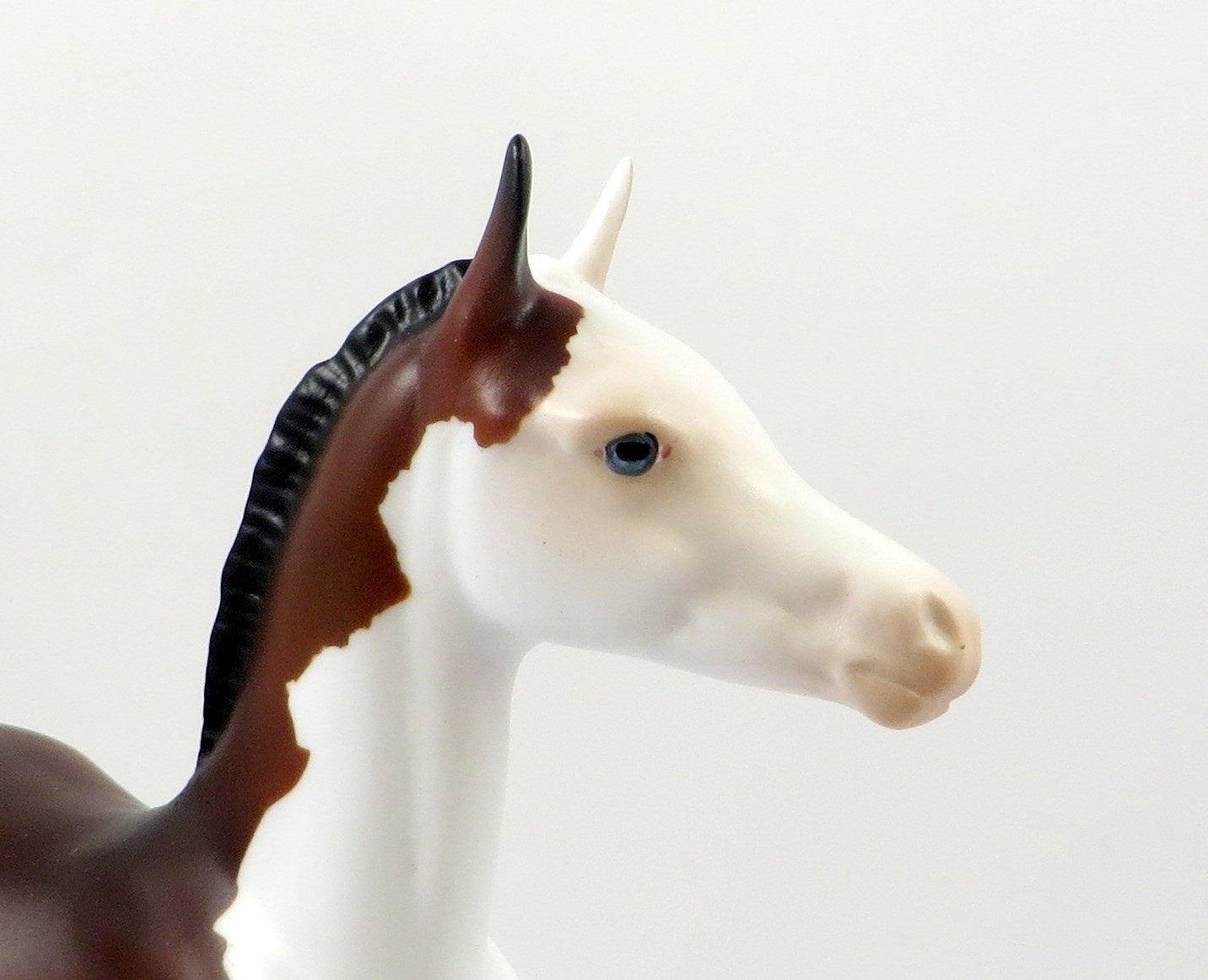 GINO-OOAK BAY SPLASH ARABIAN FOAL MODEL HORSE 7/26/19