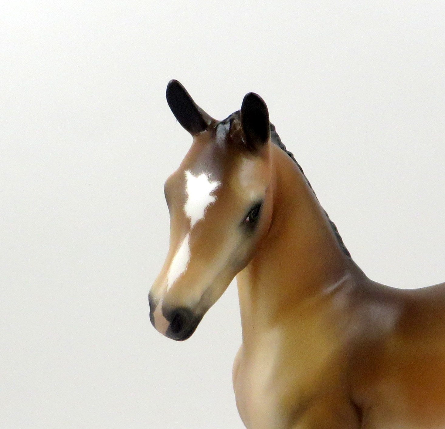 DEJA VUE-OOAK BUCKSKIN ARABIAN FOAL MODEL HORSE 7/26/19