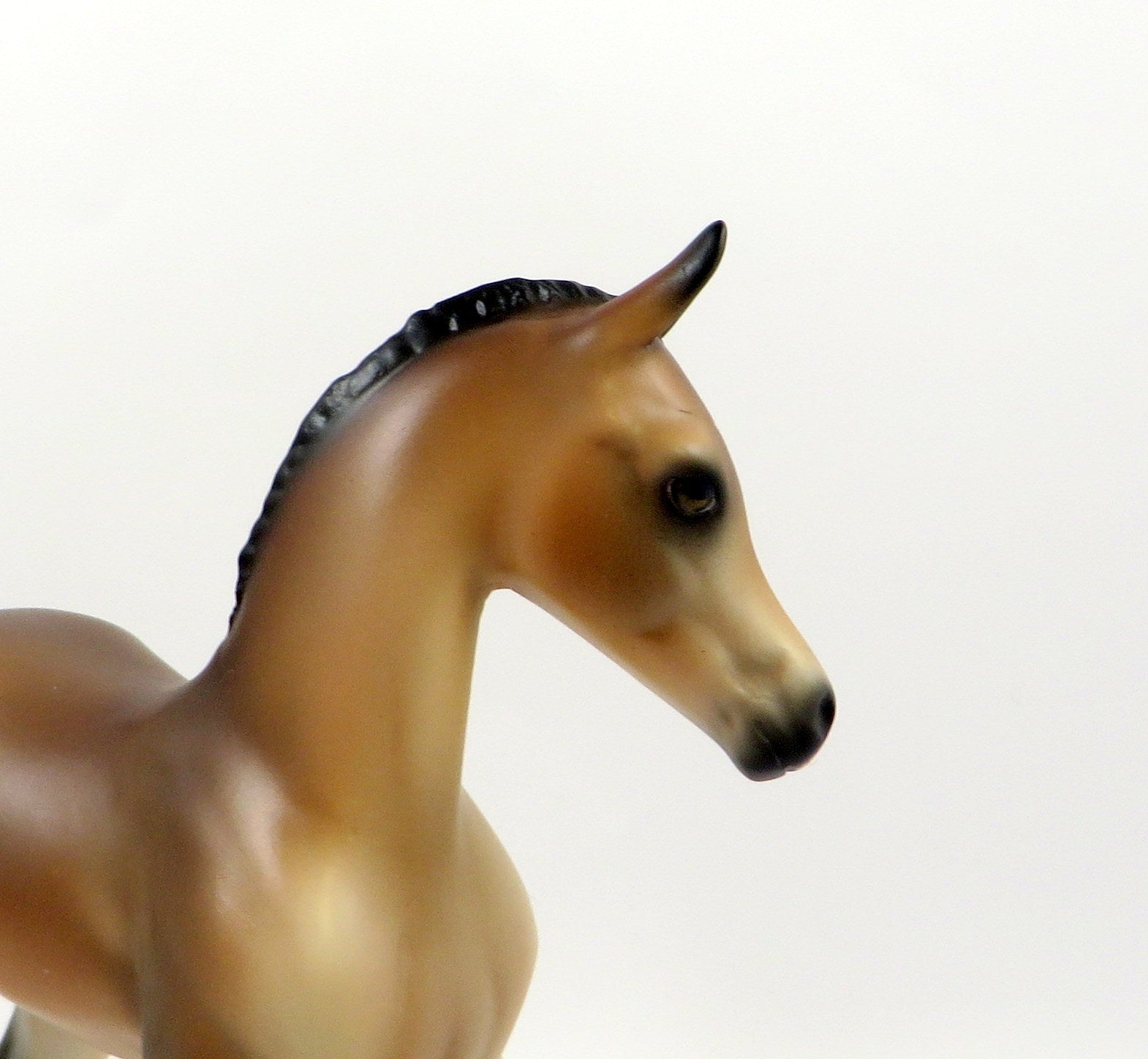 DEJA VUE-OOAK BUCKSKIN ARABIAN FOAL MODEL HORSE 7/26/19