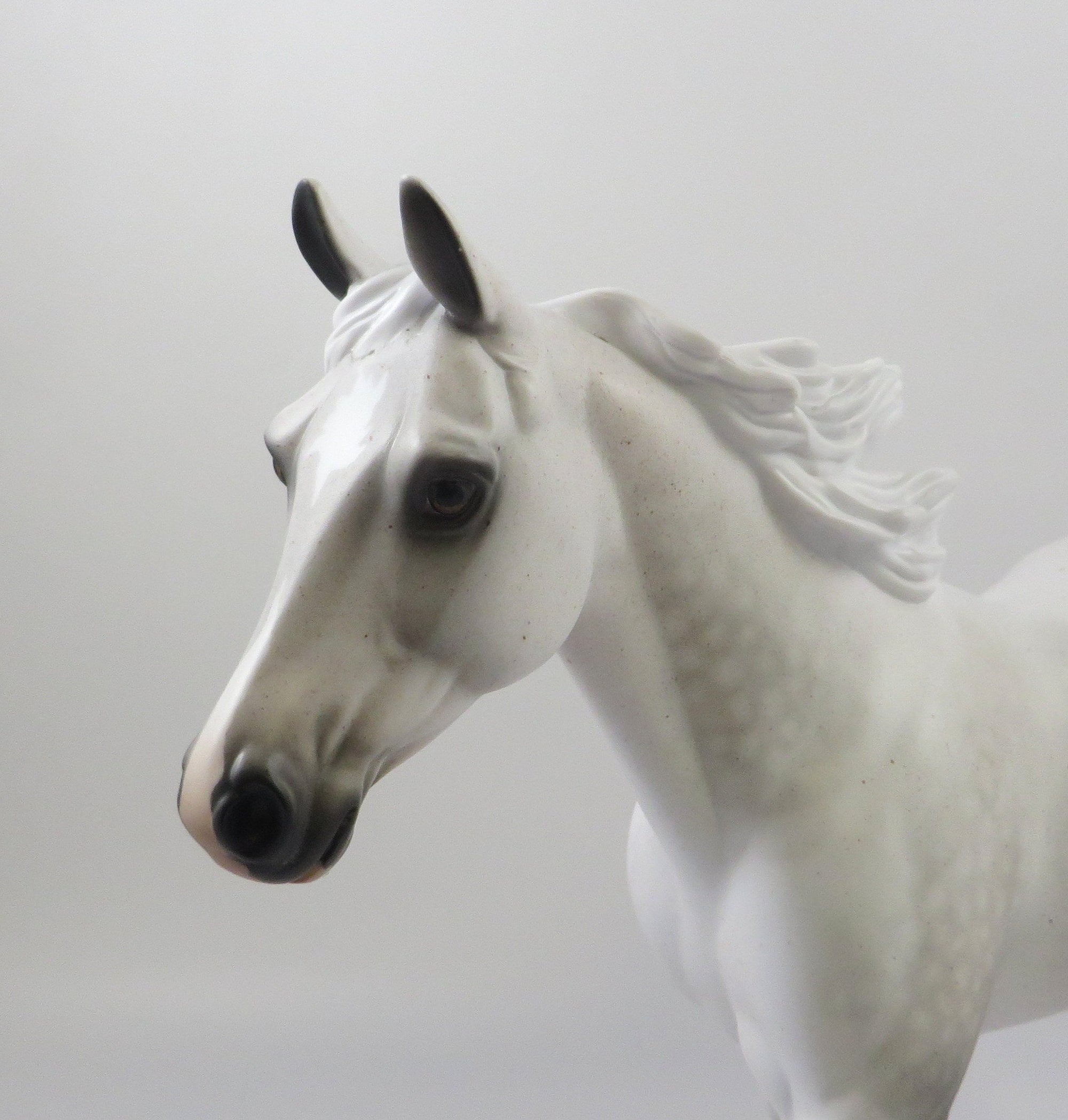 DIVA BY BLOOD-OOAK FLEA BIT GREY PALOUSE MODEL HORSE 7/26/19