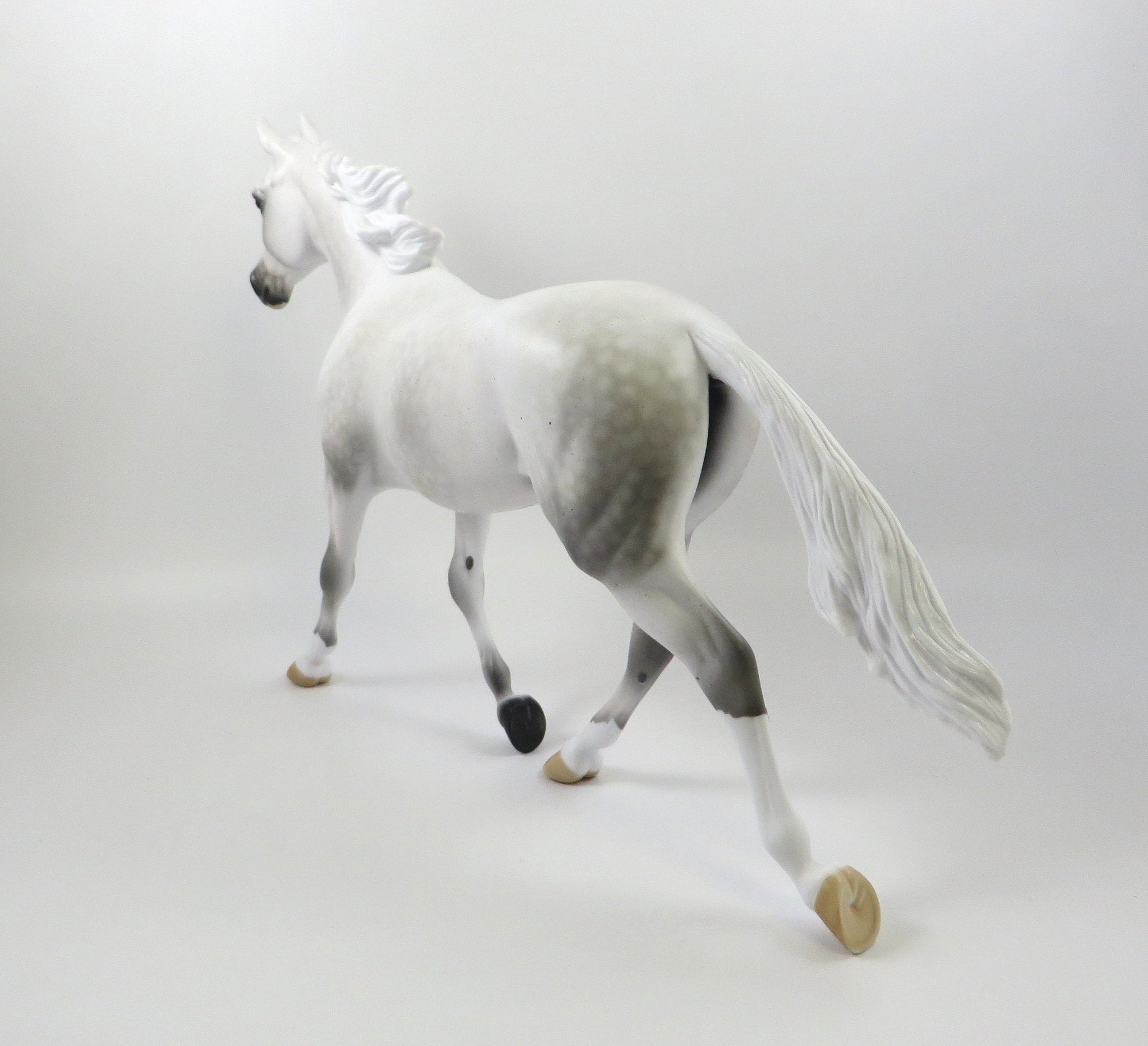 DIVA BY BLOOD-OOAK FLEA BIT GREY PALOUSE MODEL HORSE 7/26/19