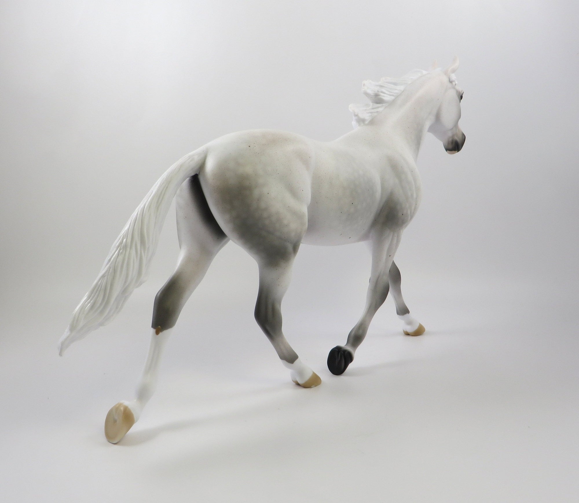 DIVA BY BLOOD-OOAK FLEA BIT GREY PALOUSE MODEL HORSE 7/26/19