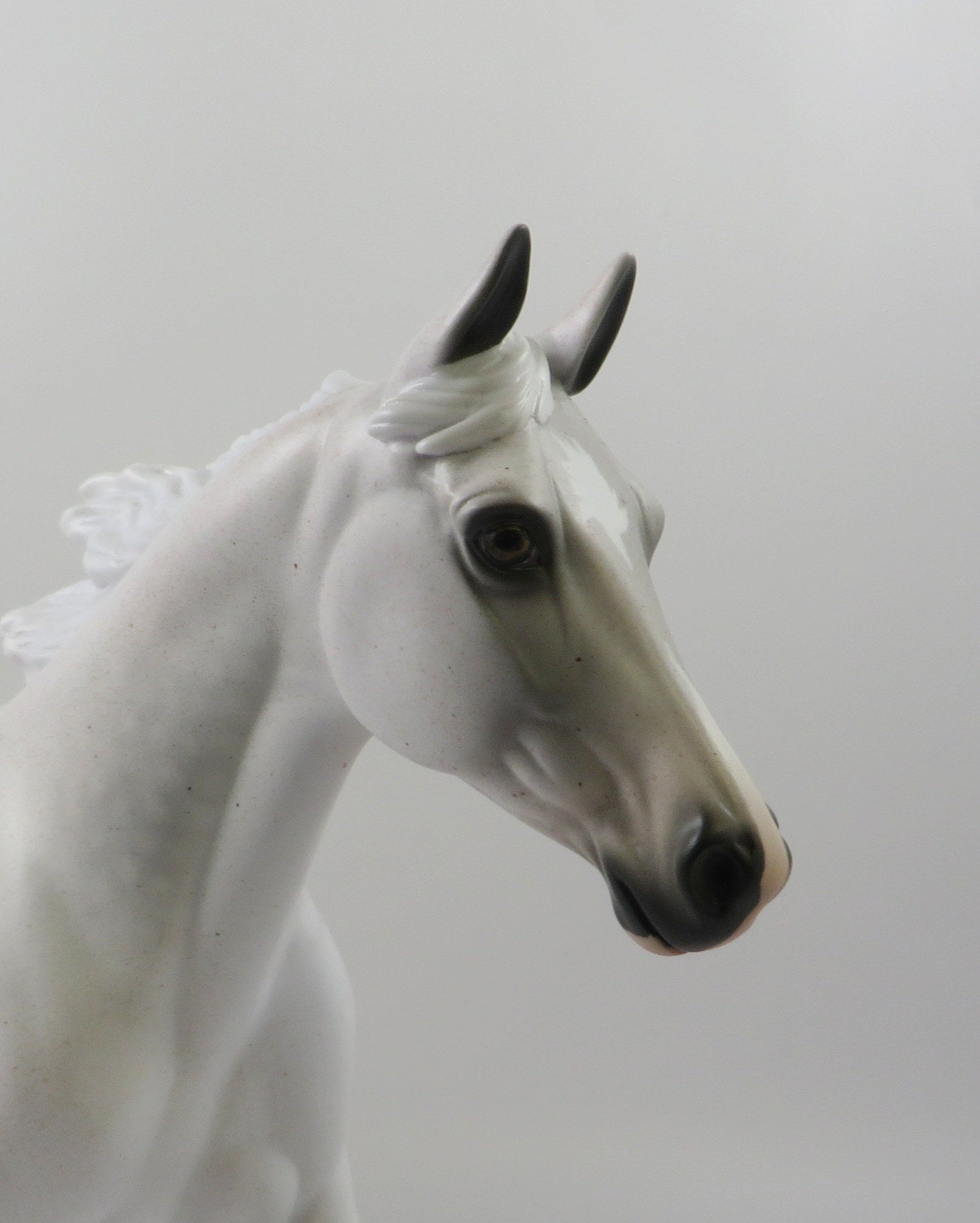 DIVA BY BLOOD-OOAK FLEA BIT GREY PALOUSE MODEL HORSE 7/26/19
