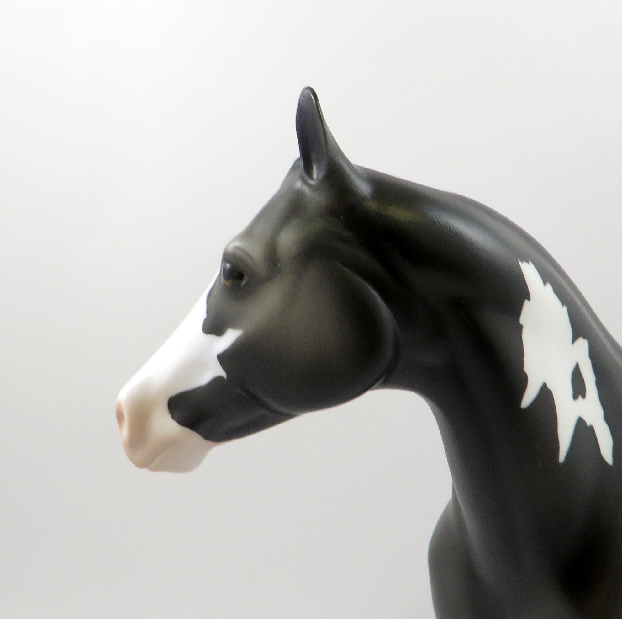 LL COOL J-OOAK GREY GOING BLACK PAINT ISH MODEL HORSE 7/26/19