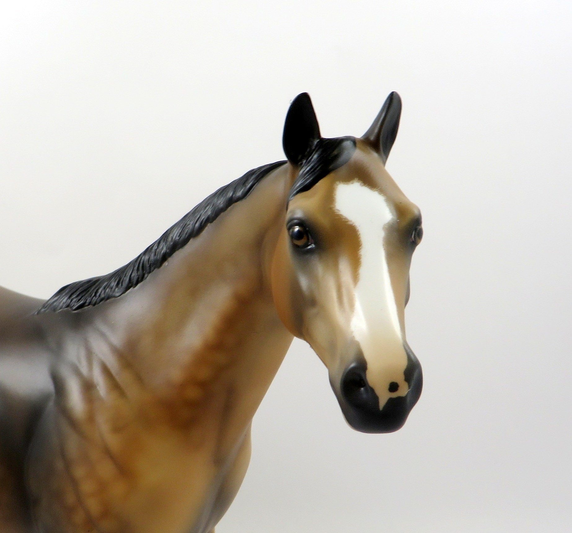 FUTURE-OOAK SOOTY BUCKSKIN ISH MODEL HORSE 7/26/19