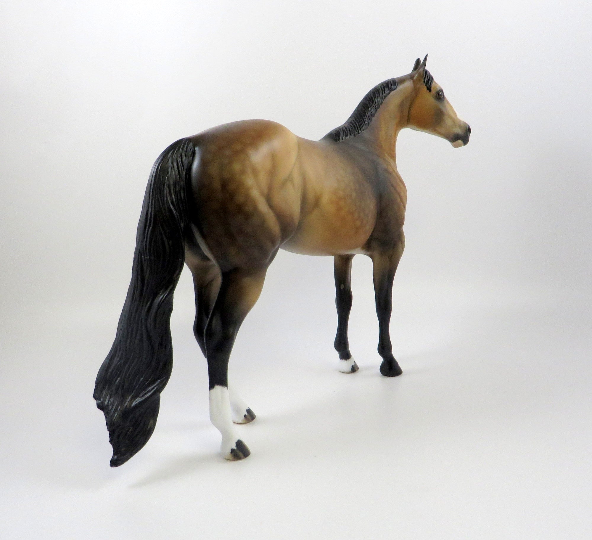 FUTURE-OOAK SOOTY BUCKSKIN ISH MODEL HORSE 7/26/19