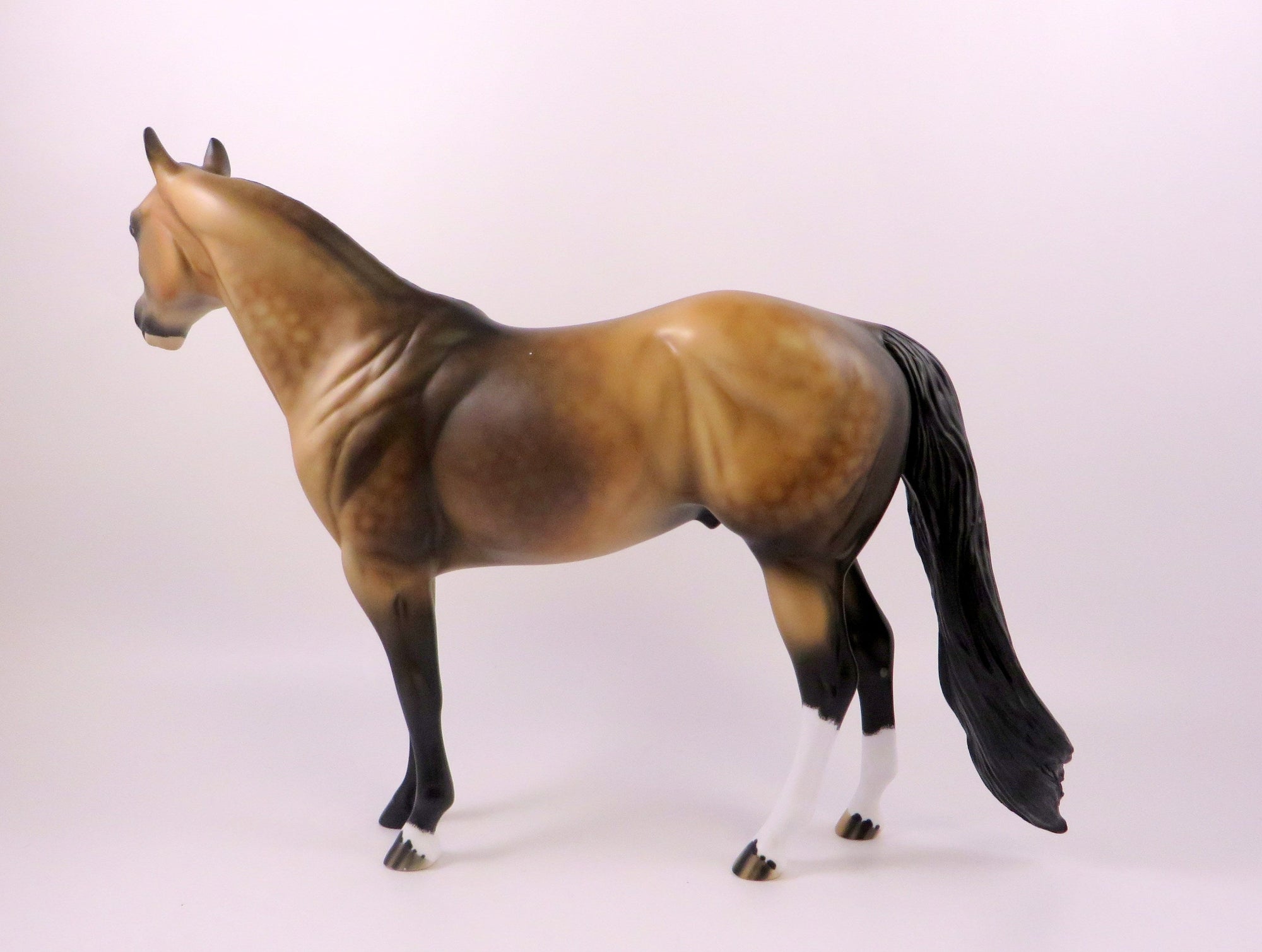 FUTURE-OOAK SOOTY BUCKSKIN ISH MODEL HORSE 7/26/19
