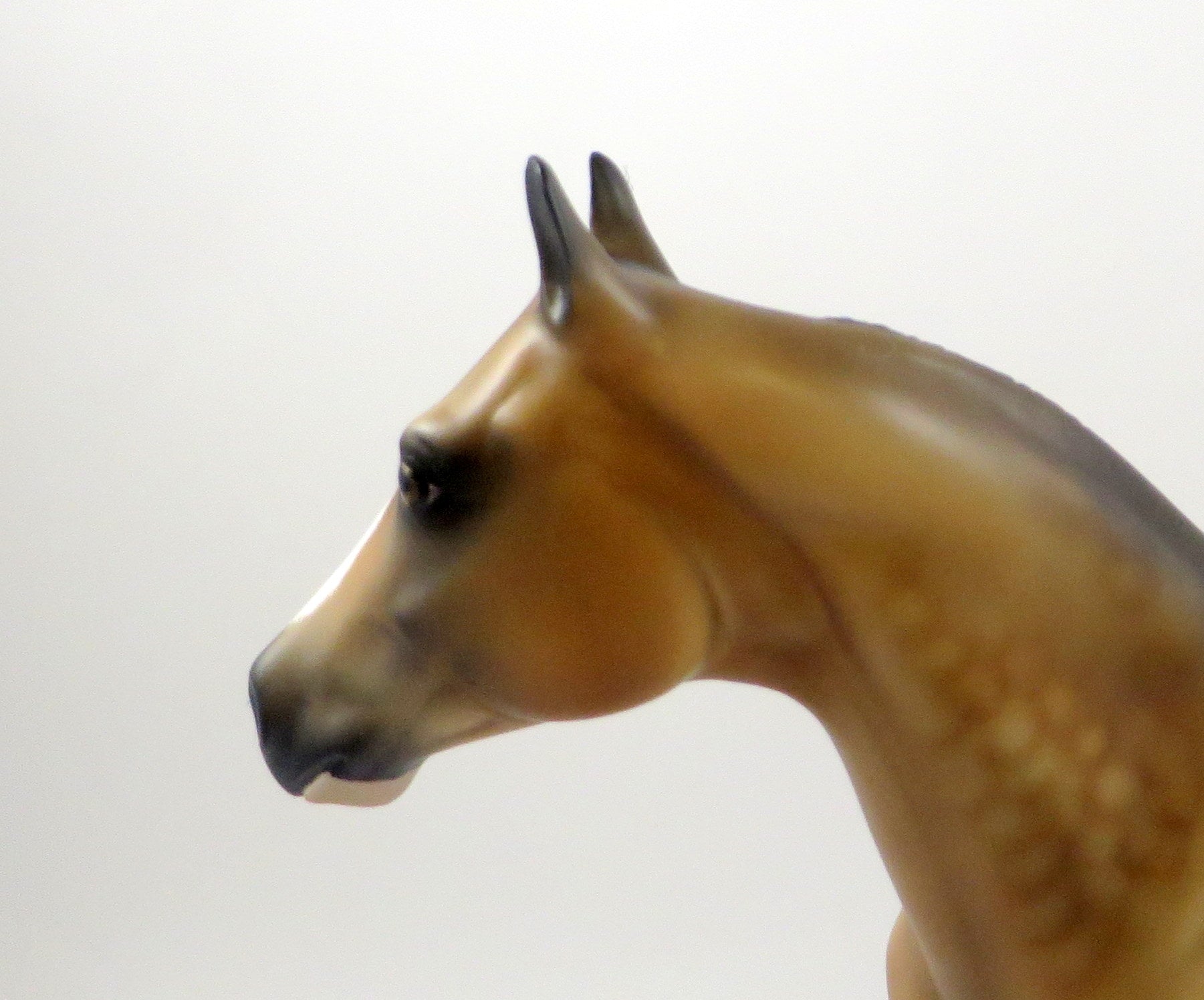 FUTURE-OOAK SOOTY BUCKSKIN ISH MODEL HORSE 7/26/19