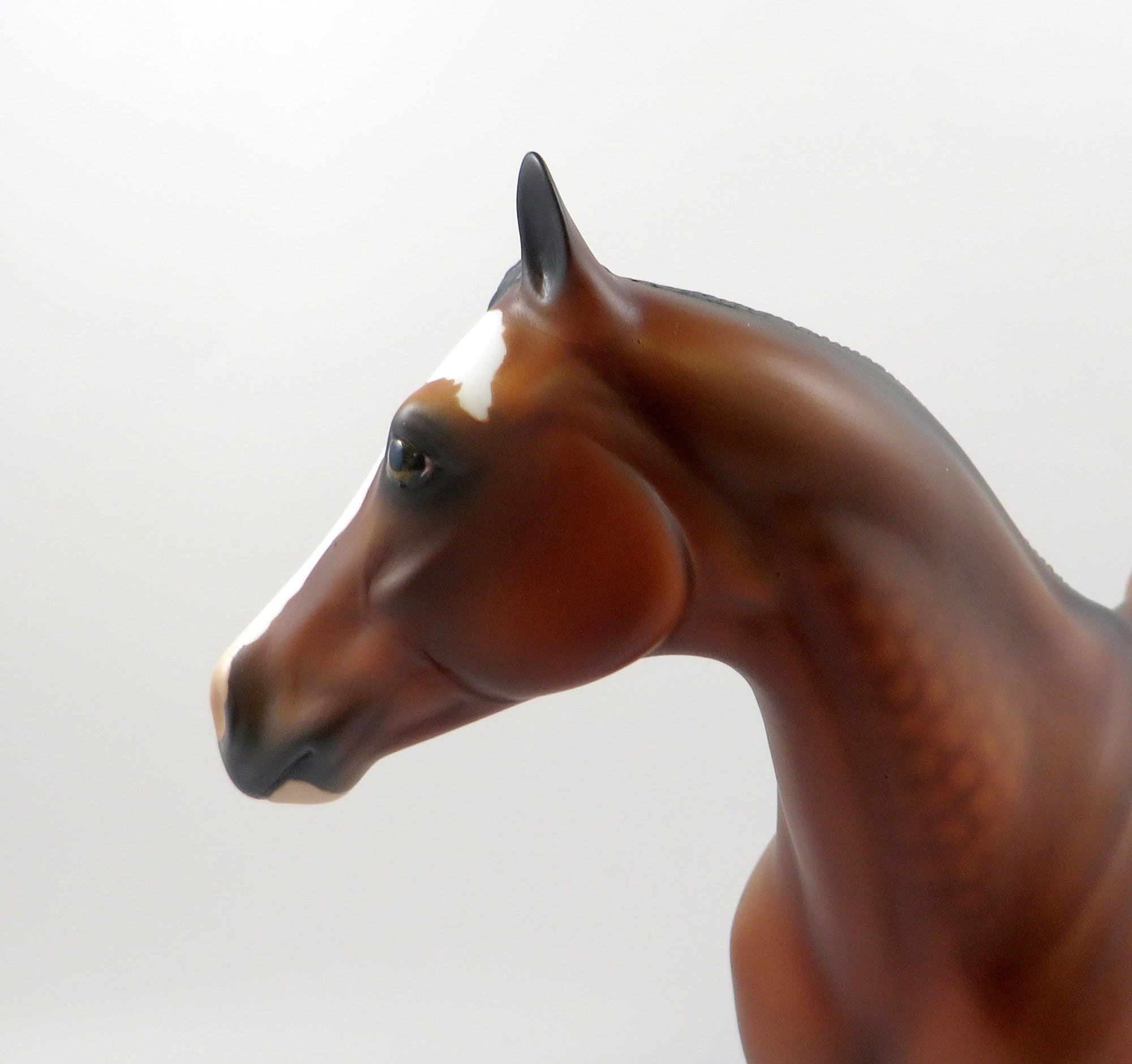 UP CLOSE &amp; PERSONAL-OOAK DAPPLE BAY PAINT ISH MODEL HORSE 7/26/19