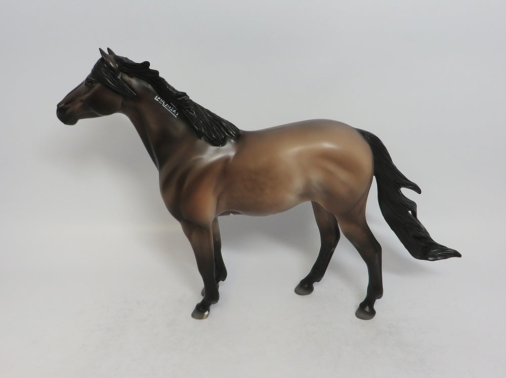 INOLA - LE25 GRULLA MUSTANG MODEL HORSE SHCF2018